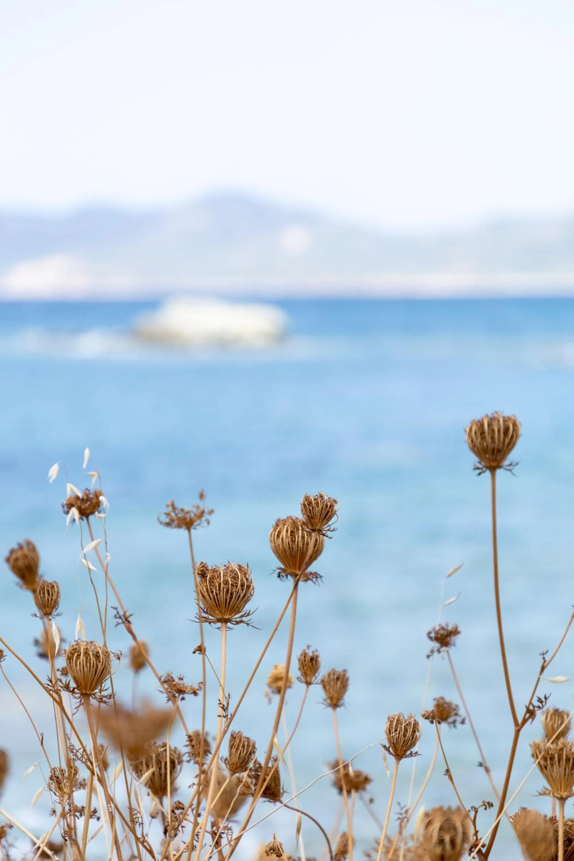 Natural landscape in Eco Village Baia Delle Ginestre