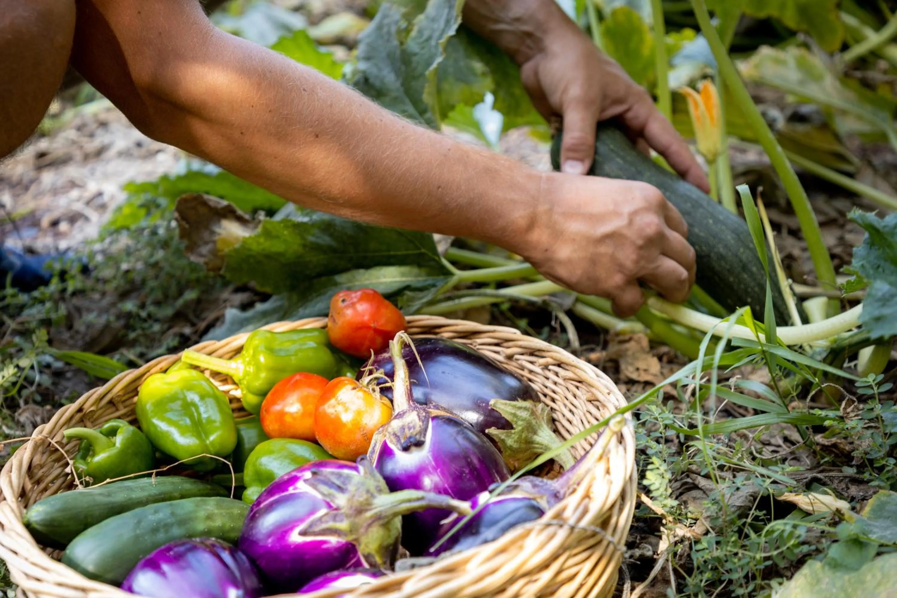 Day in Eco Village Baia Delle Ginestre