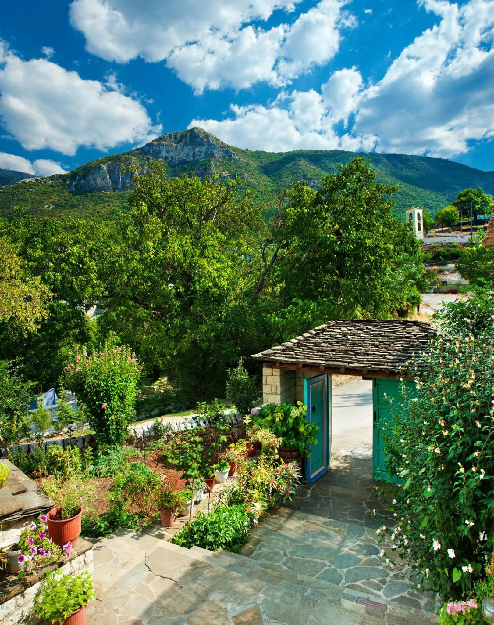 Garden in Zissis Hotel