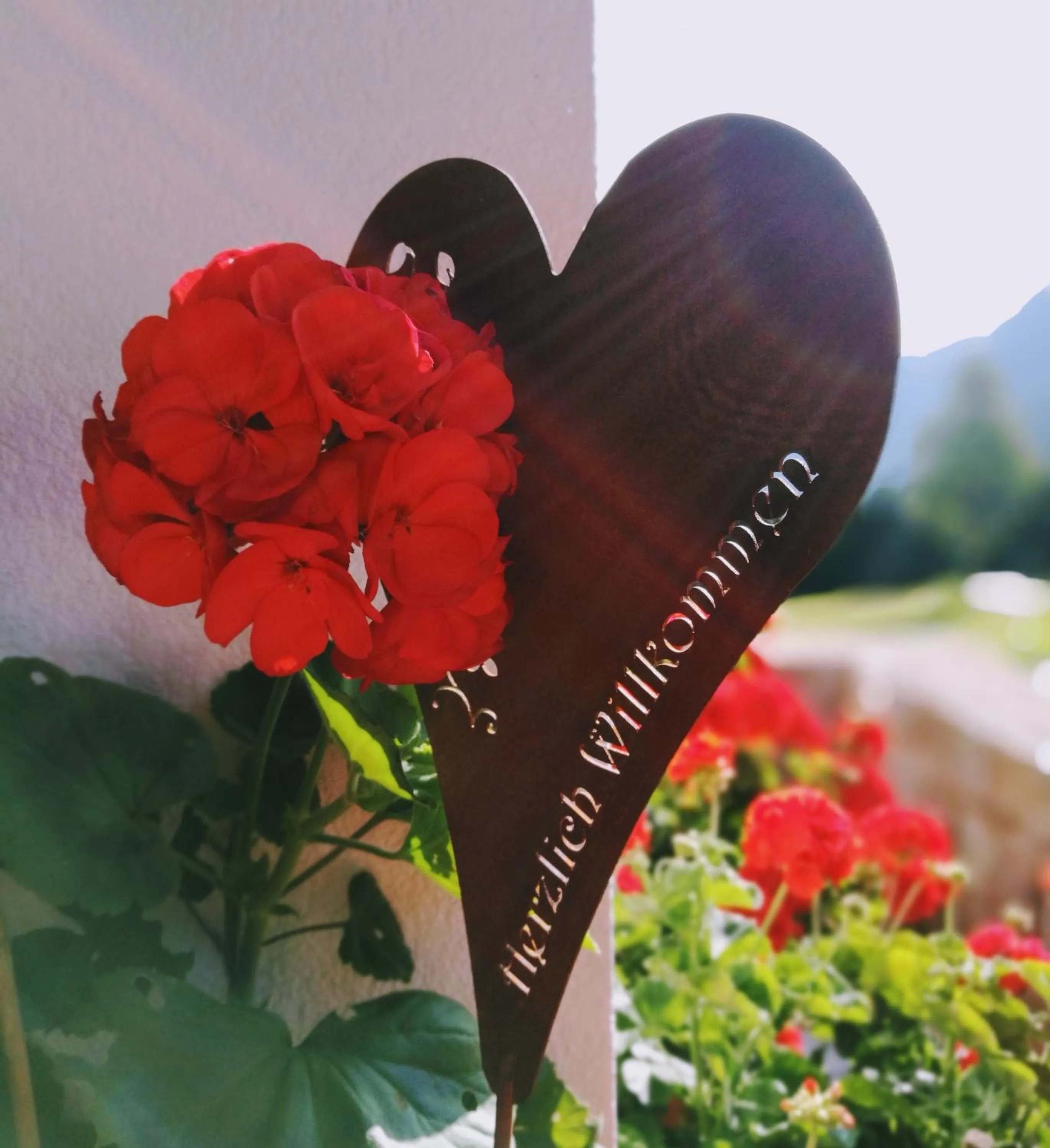 Summer in Haus Veidlis, Familie Obkircher