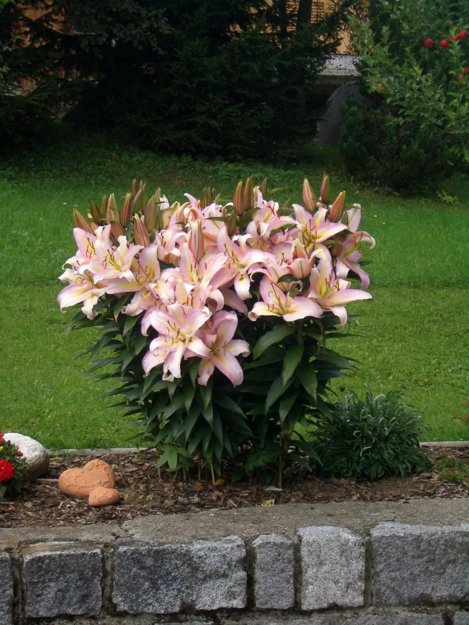 Garden in Haus Veidlis, Familie Obkircher