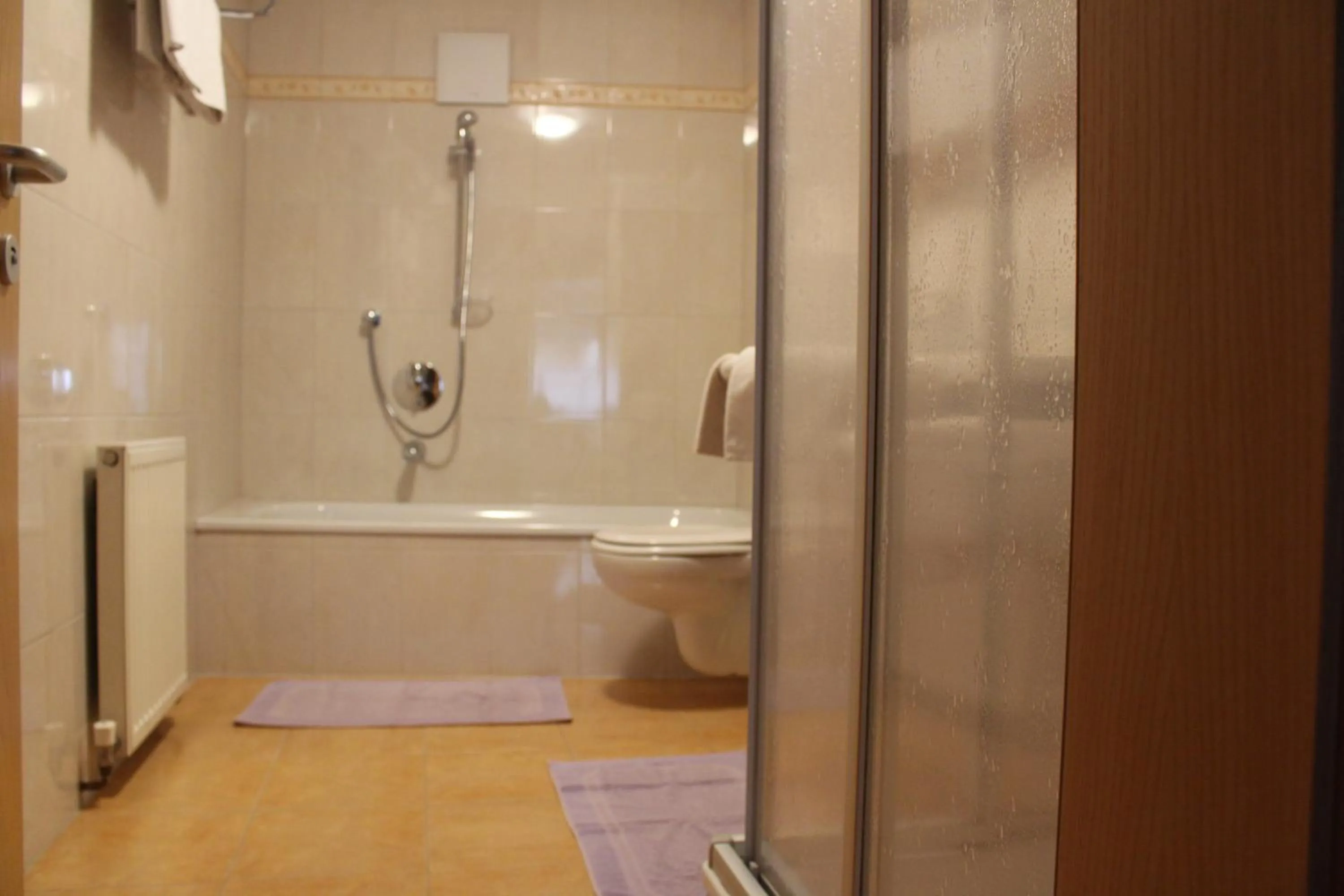 Toilet in Gasthof Zellerstuben