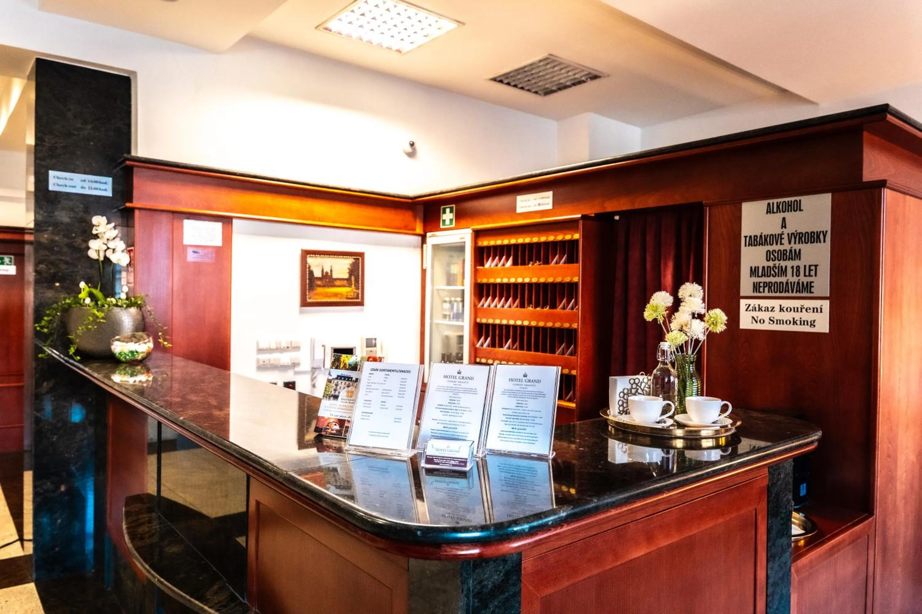 Lobby or reception in Hotel Grand