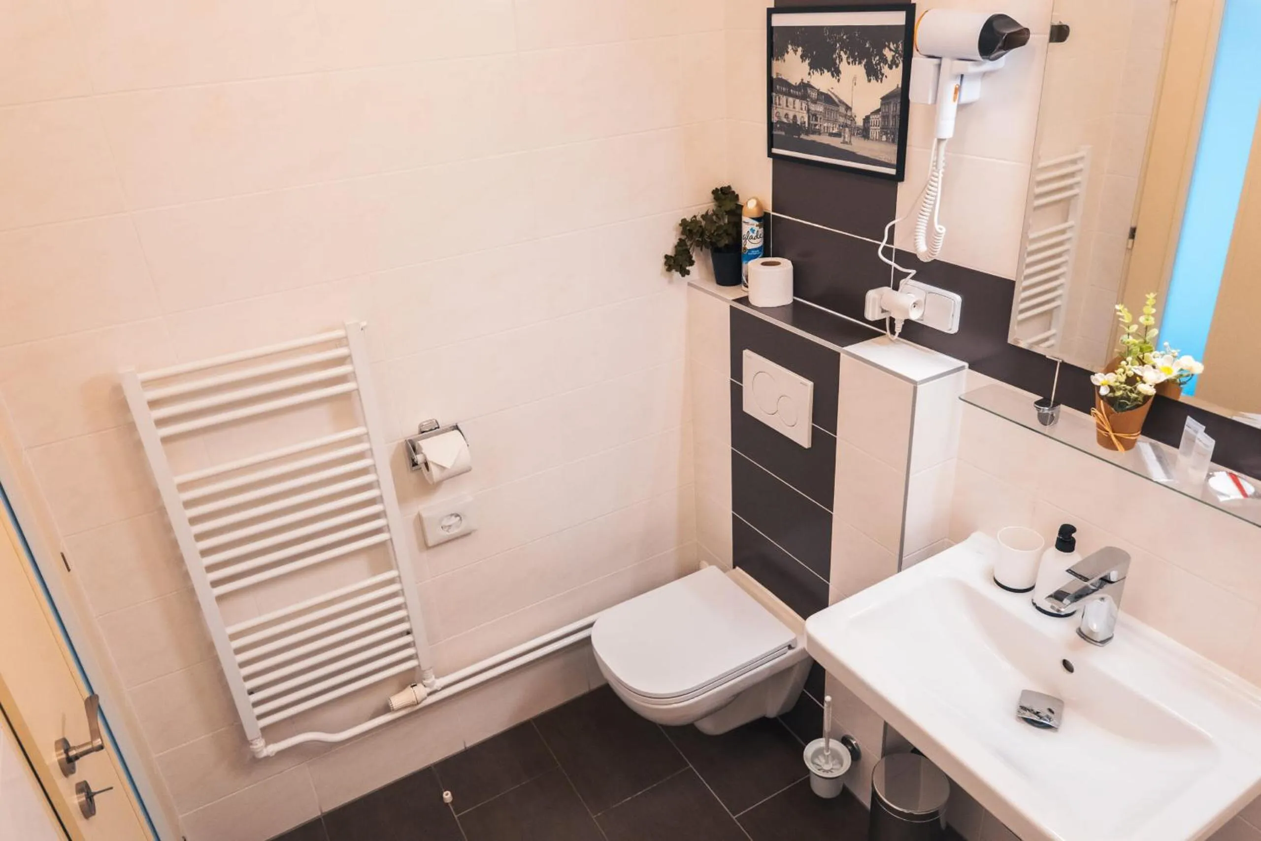 Toilet in Hotel Grand