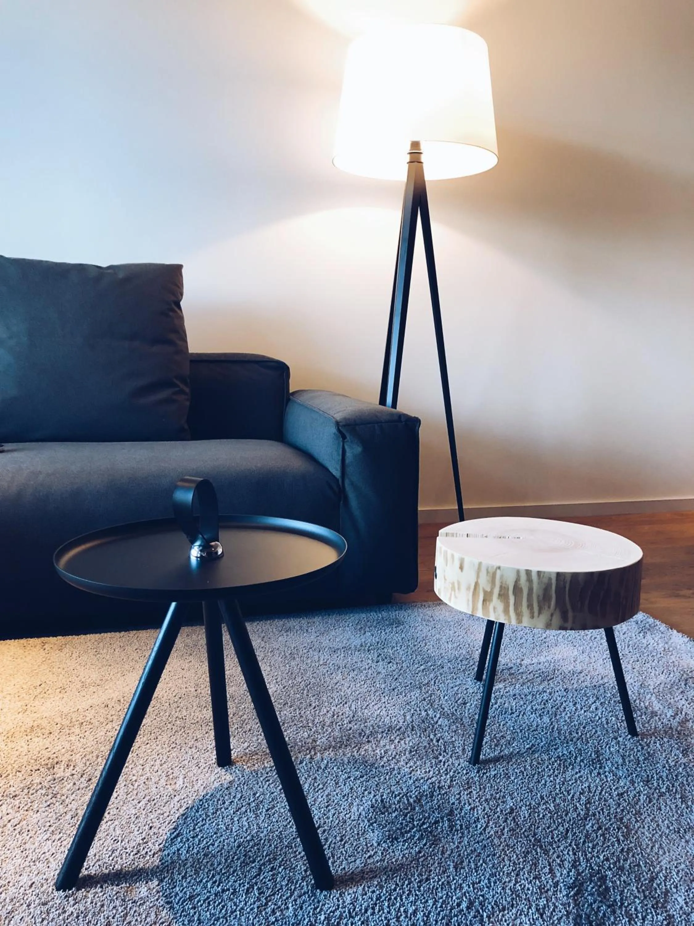 Living room in Fritz Lauterbad