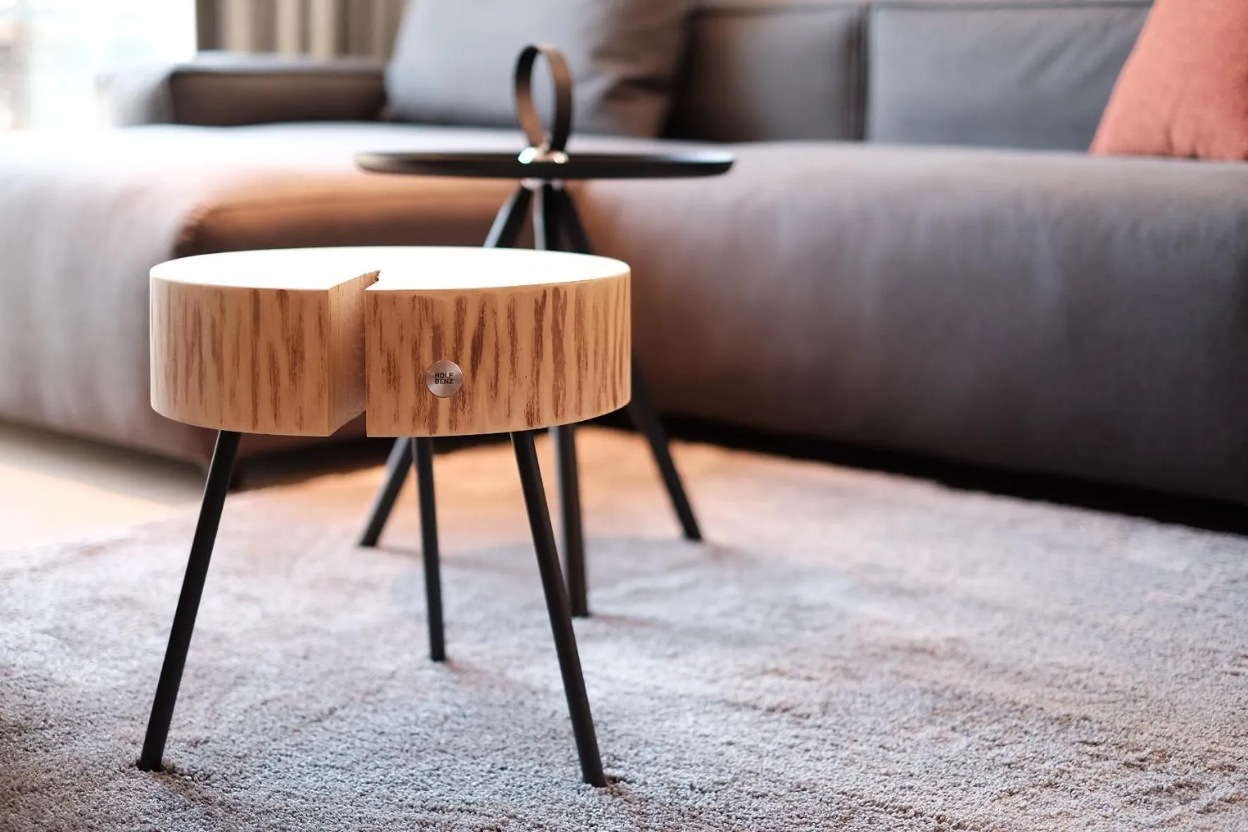 Living room in Fritz Lauterbad