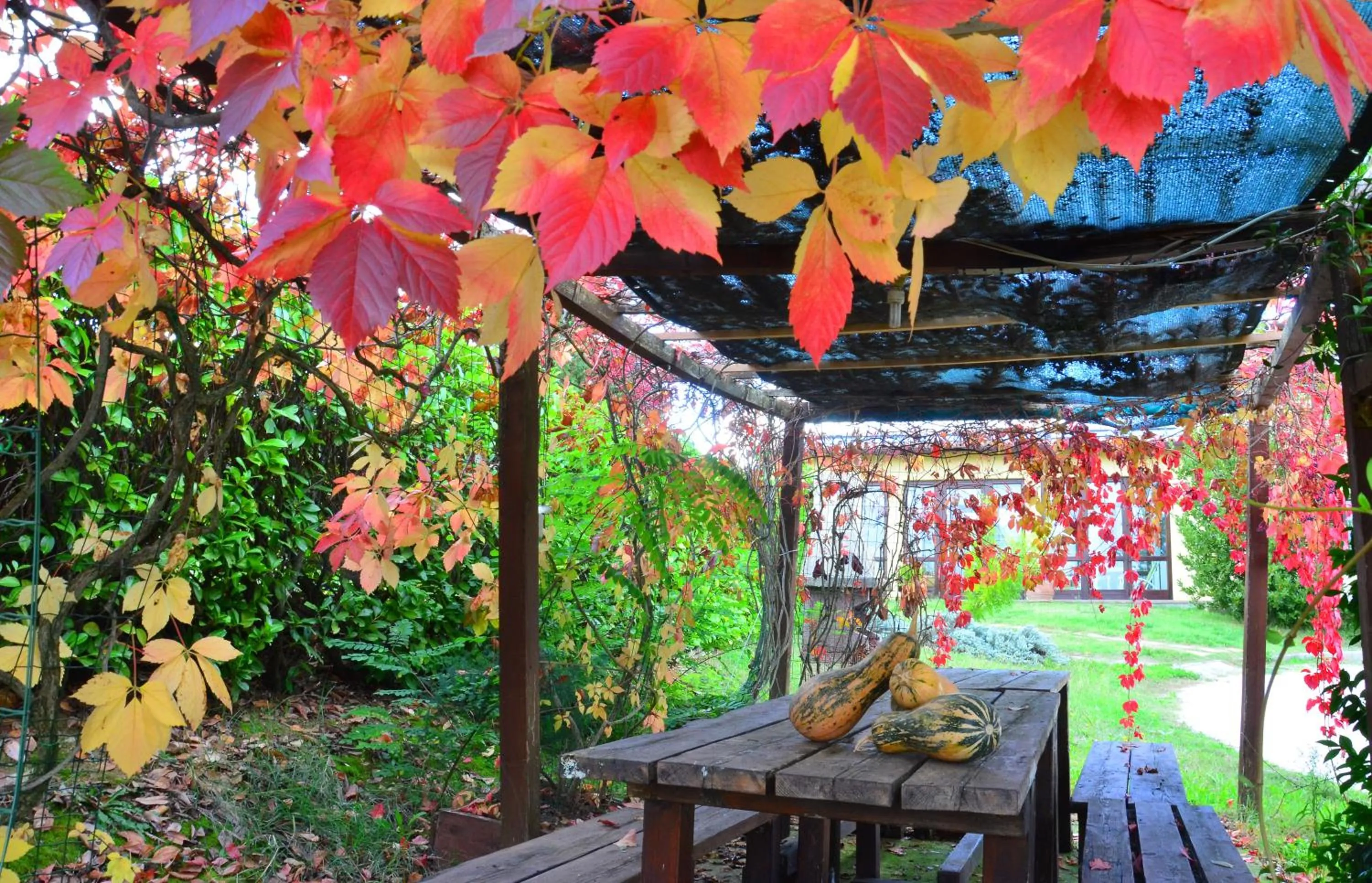 Garden in Country House Nonna Rana