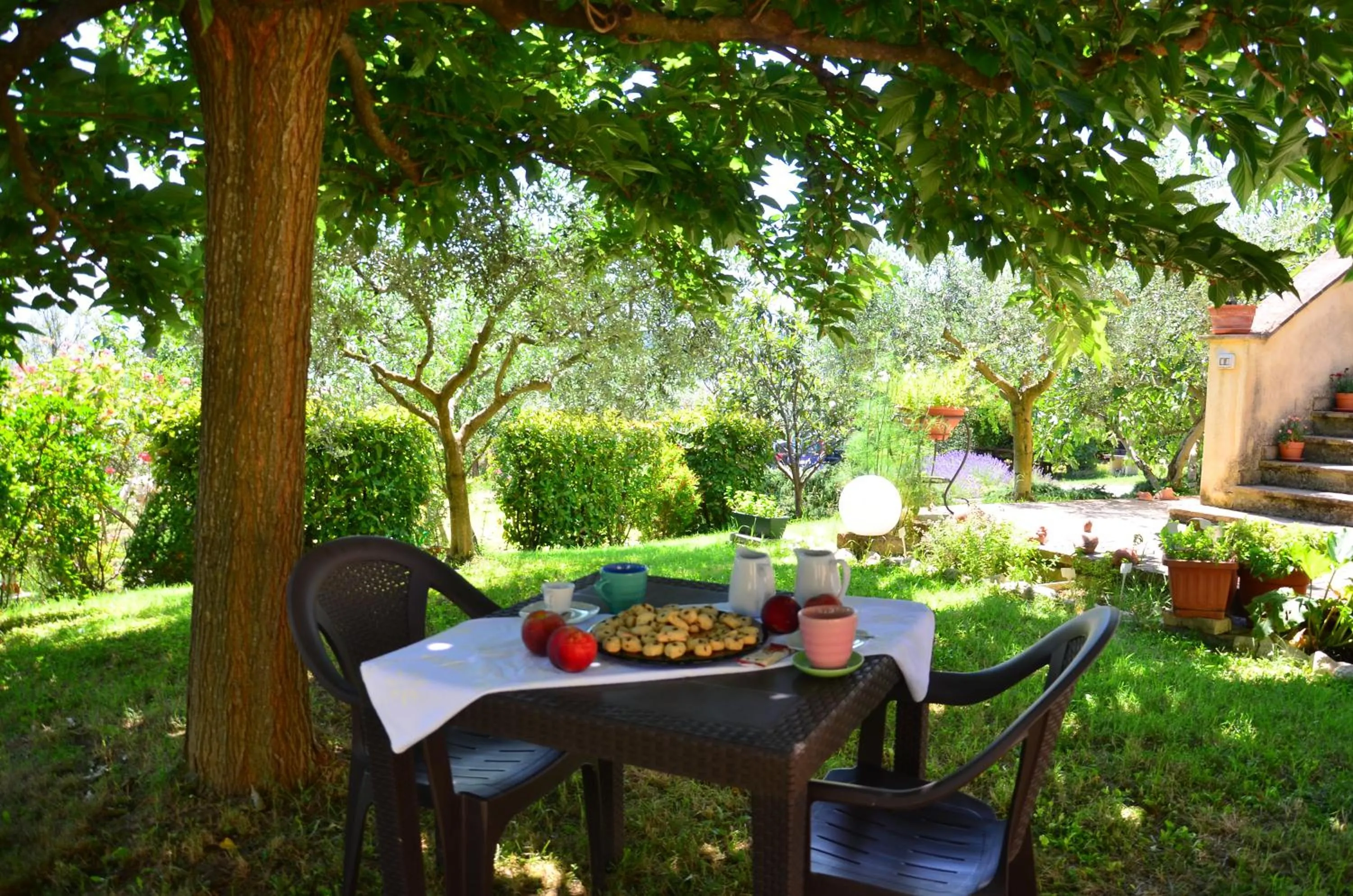 Garden in Country House Nonna Rana