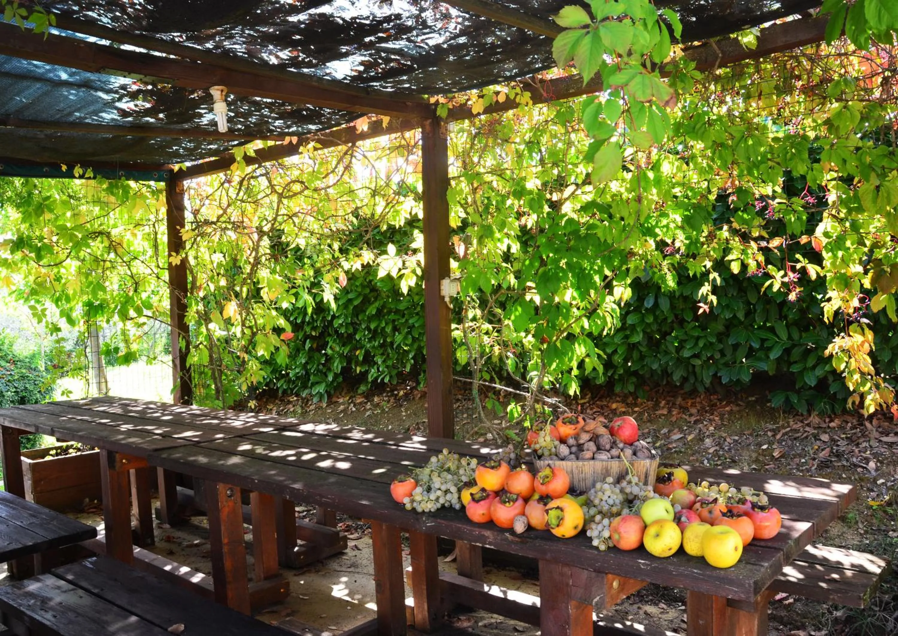 Property building in Country House Nonna Rana