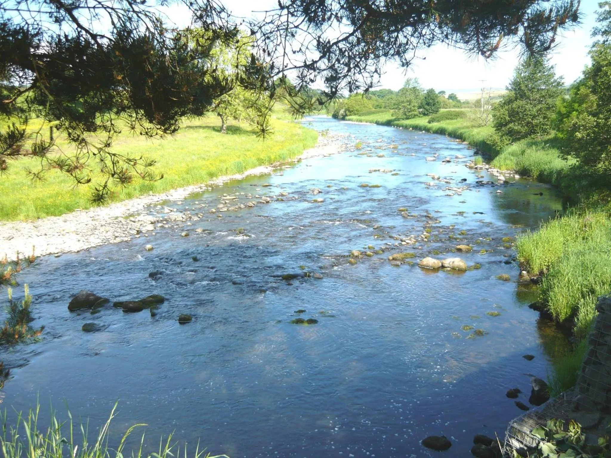 Area and facilities in Blackaddie House Hotel