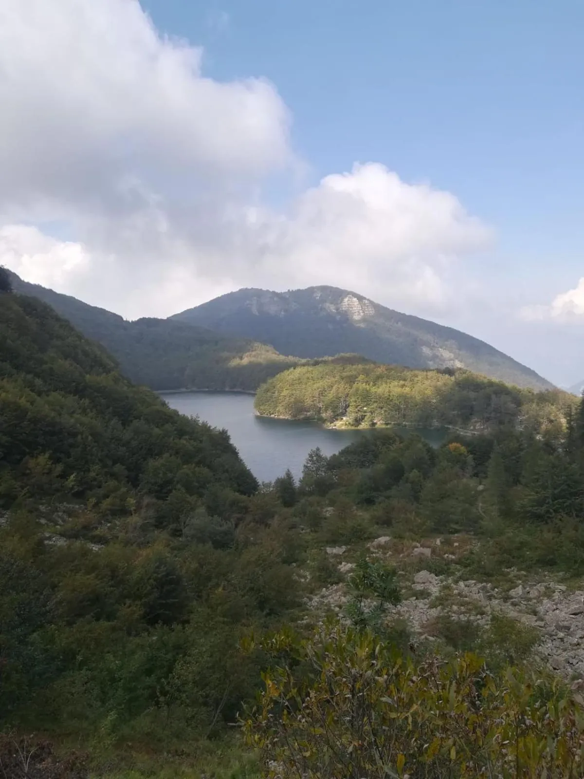 Natural landscape in Hotel Bristol