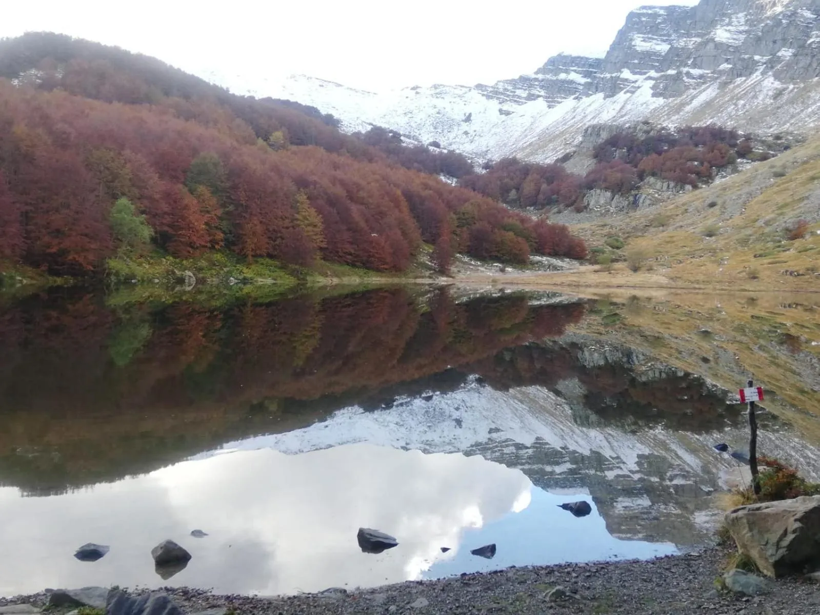 Natural landscape in Hotel Bristol