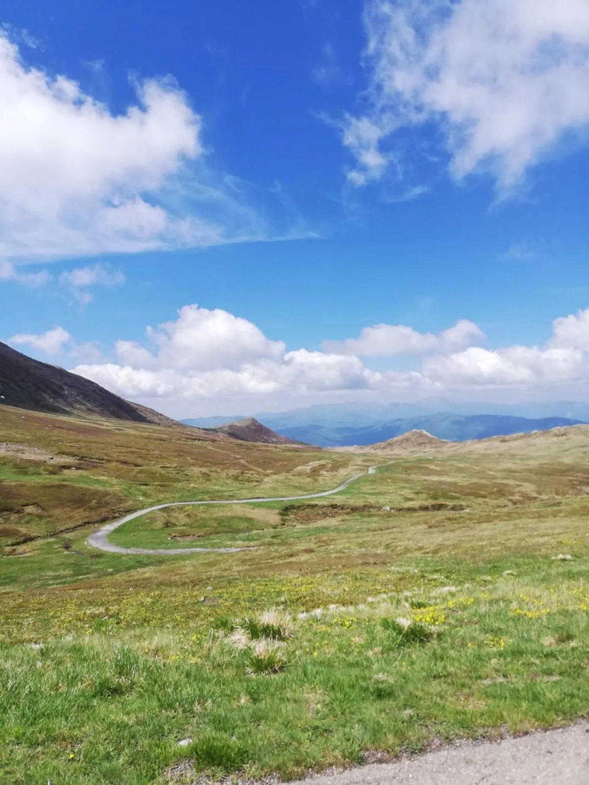 Natural landscape in Hotel Bristol