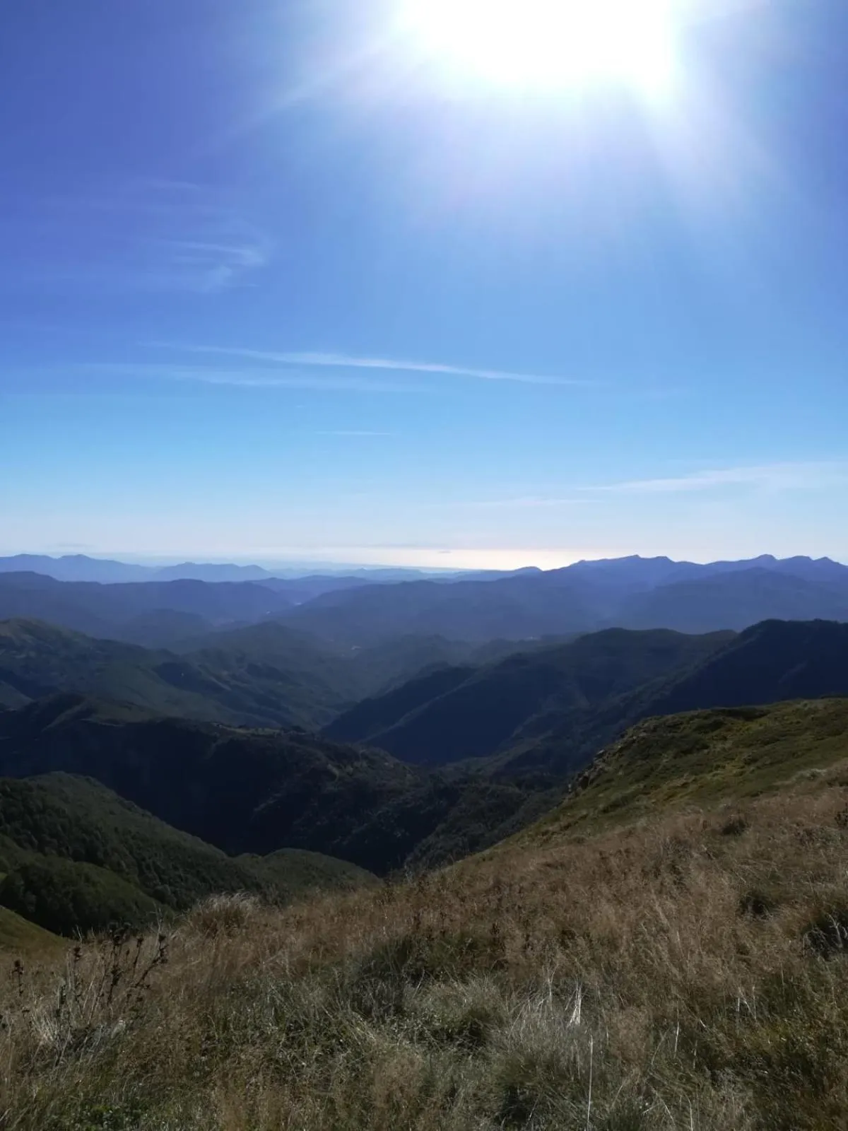 Natural landscape in Hotel Bristol