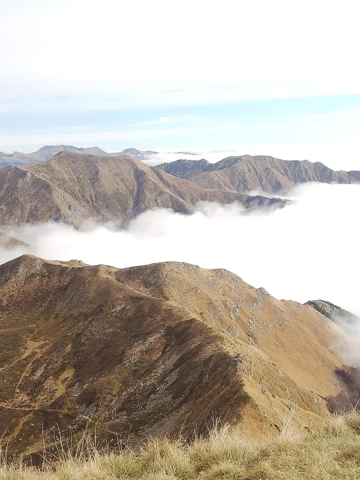Natural landscape in Hotel Bristol