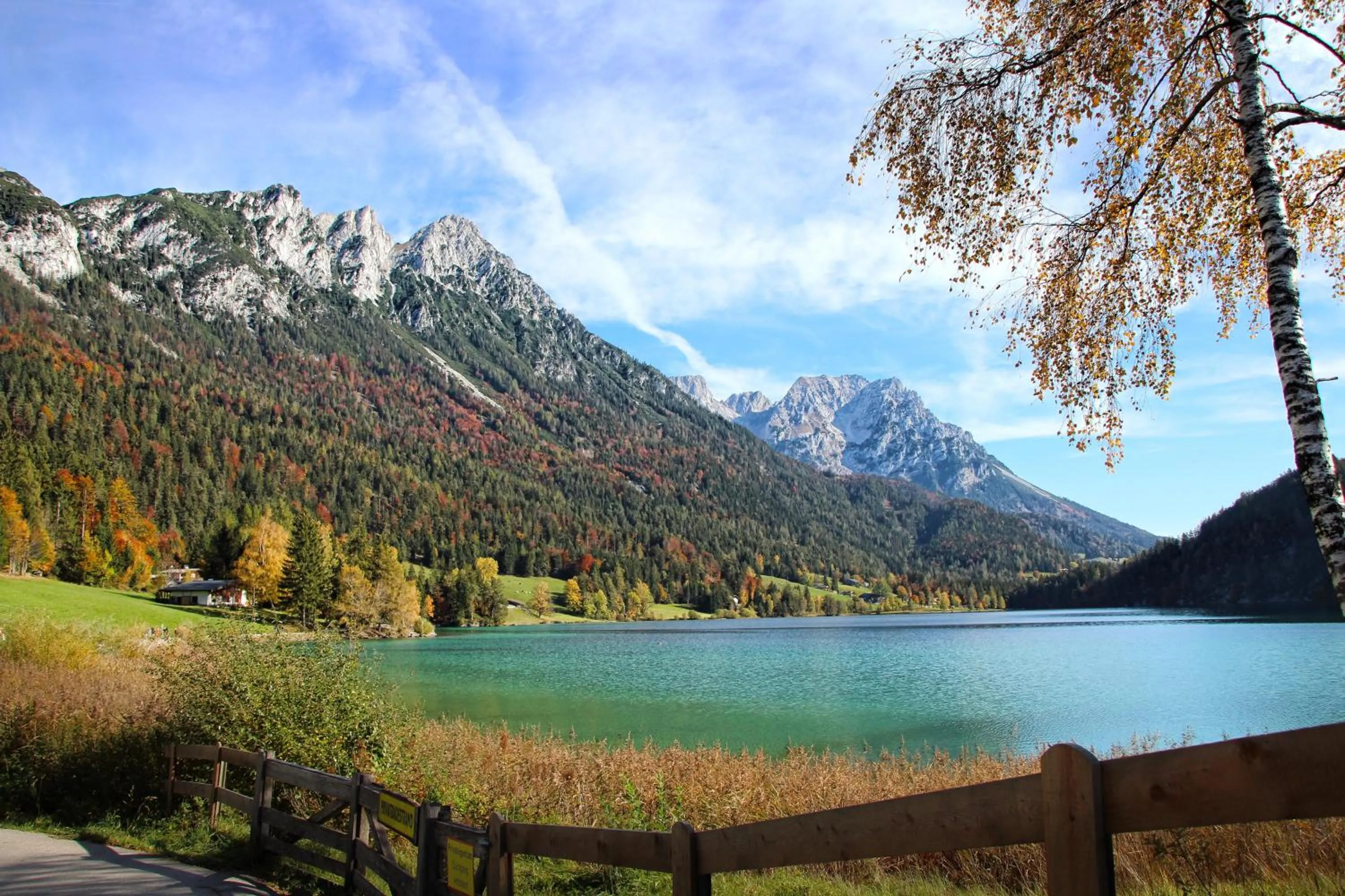 Natural landscape in Landhaus Elfi