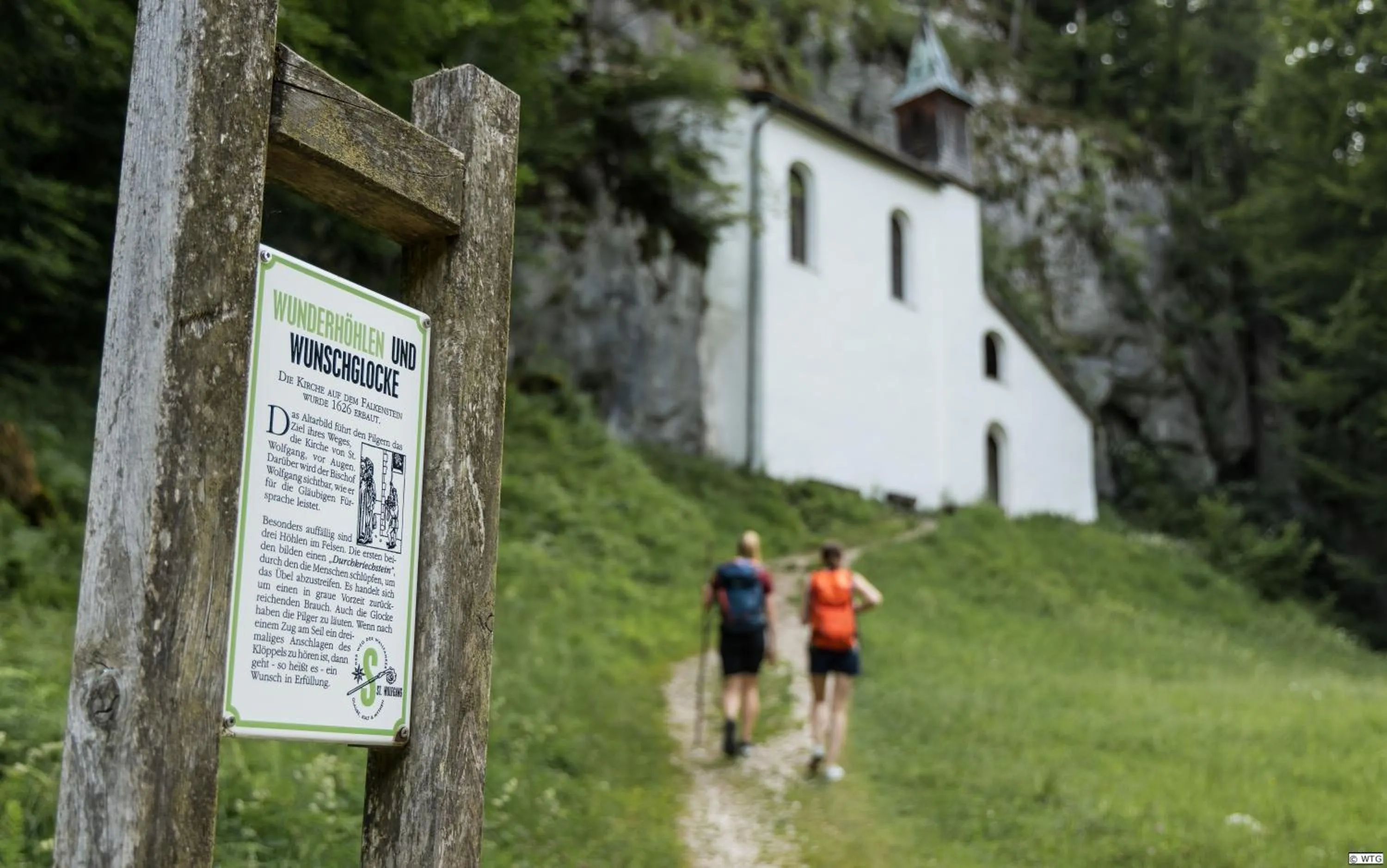 Activities in Hotel Försterhof lebe pur, genieße den Tag