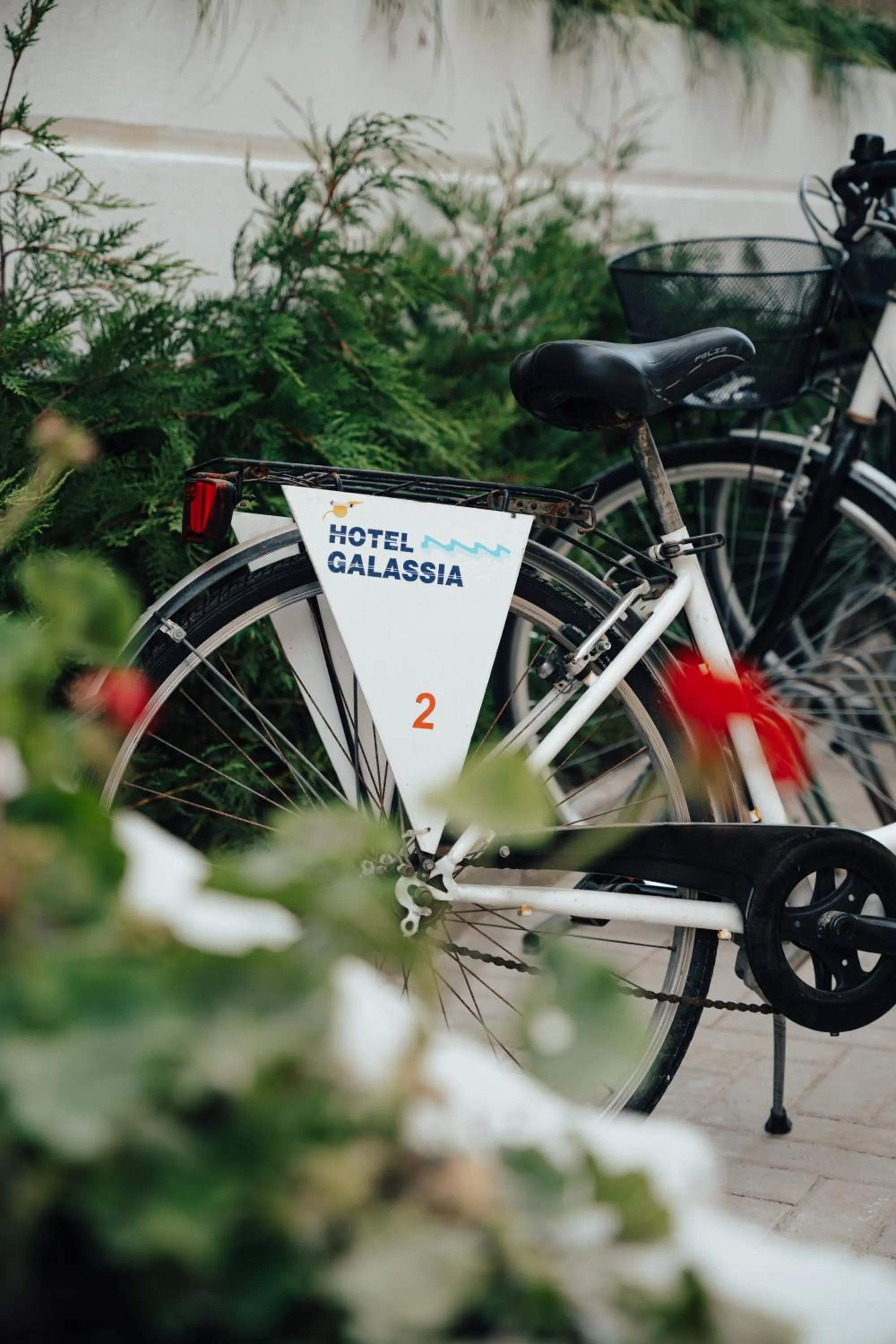 Cycling in Hotel Galassia Suites & Spa