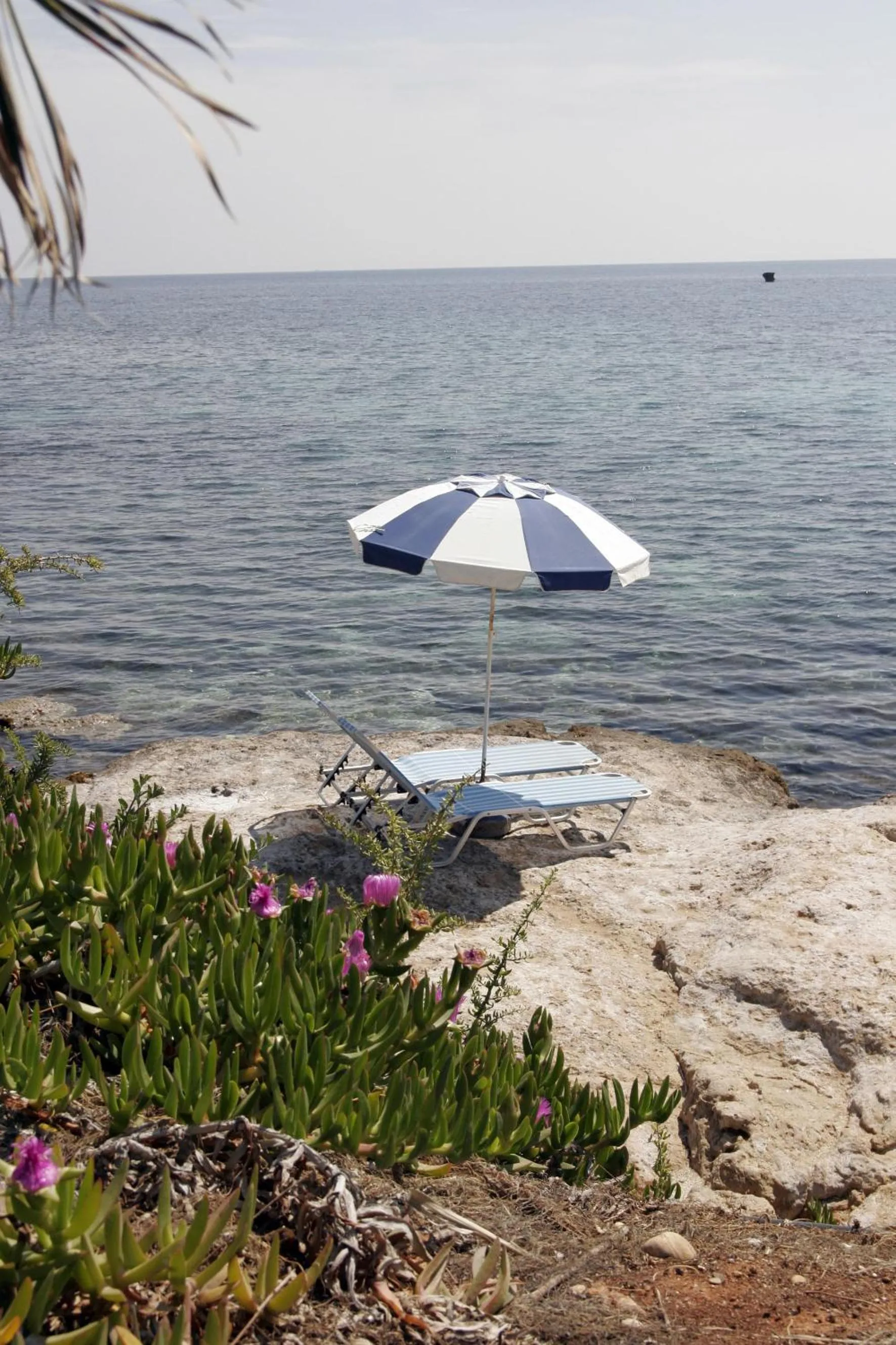 Area and facilities in Hersonissos Maris