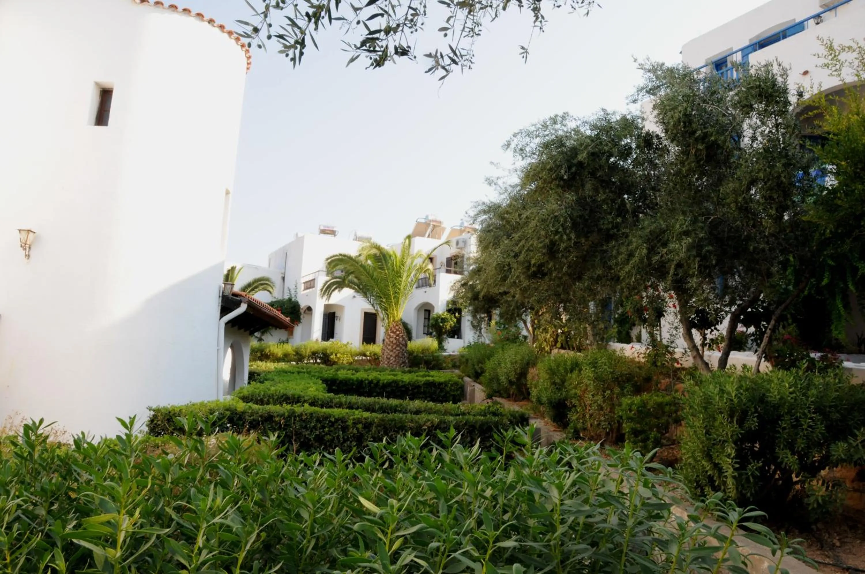 Garden in Hersonissos Village Hotel & Bungalows