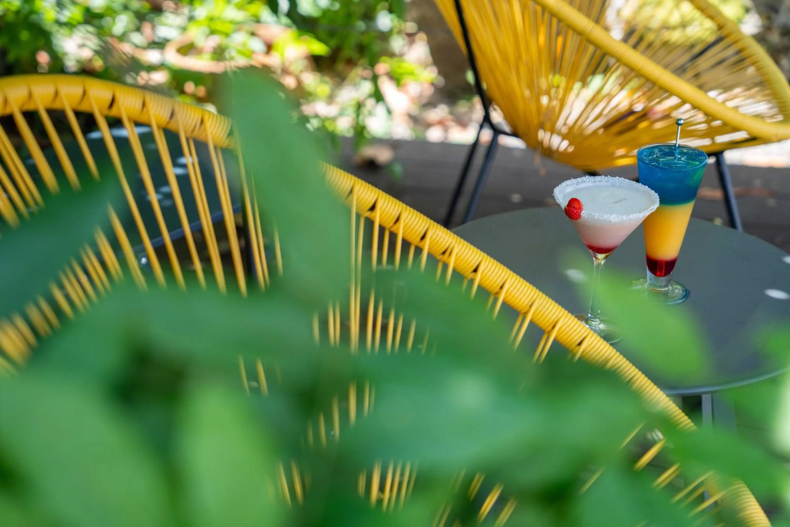 Garden in Logis Auberge du Relais - Hôtel & Restaurant