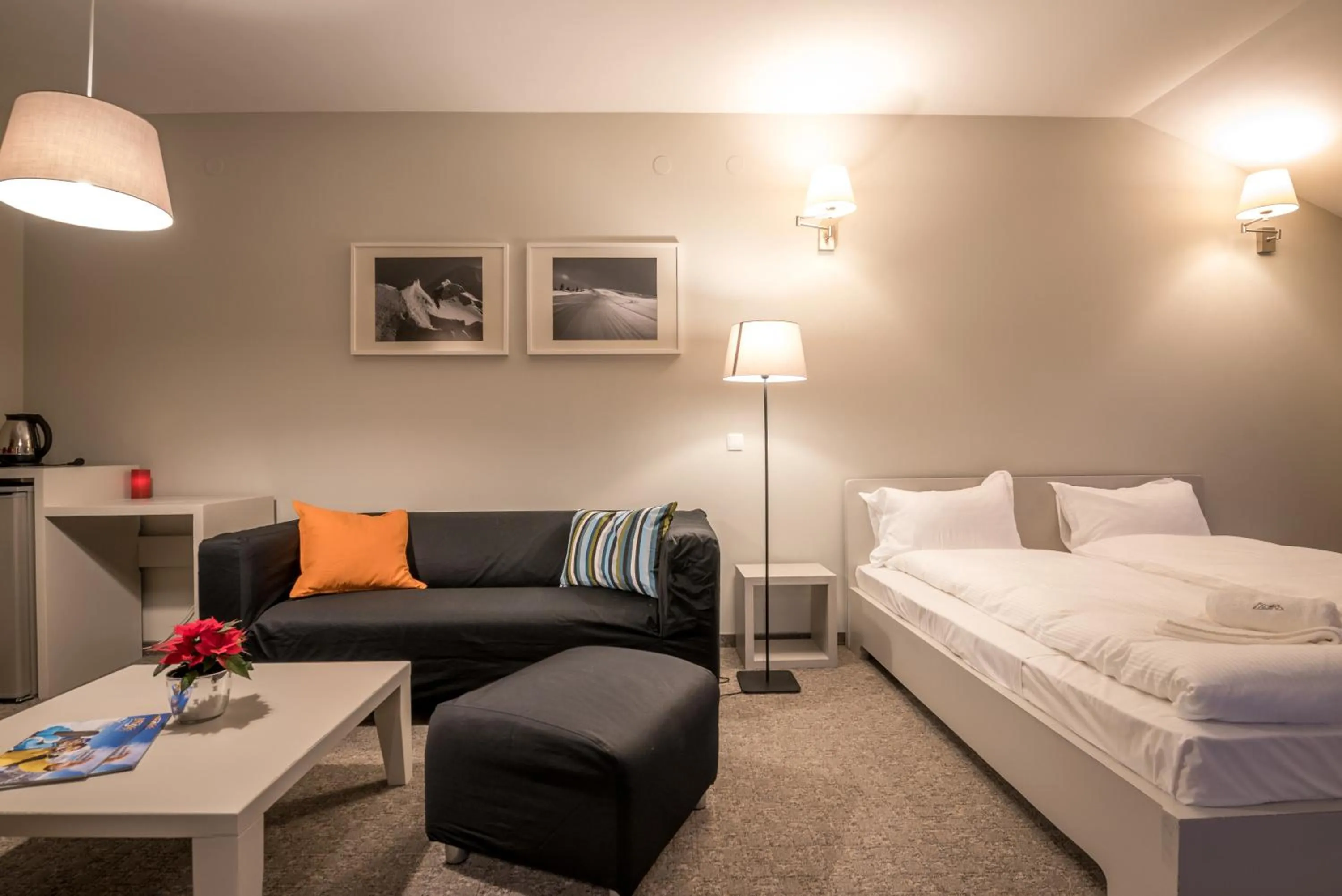 Living room, Bed in White Lavina - Ski, Bike, Hike