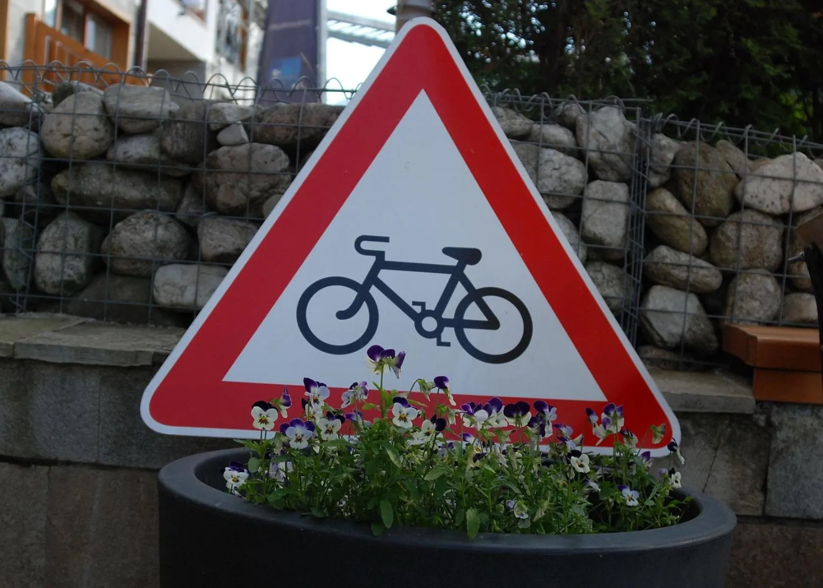 Cycling in White Lavina - Ski, Bike, Hike