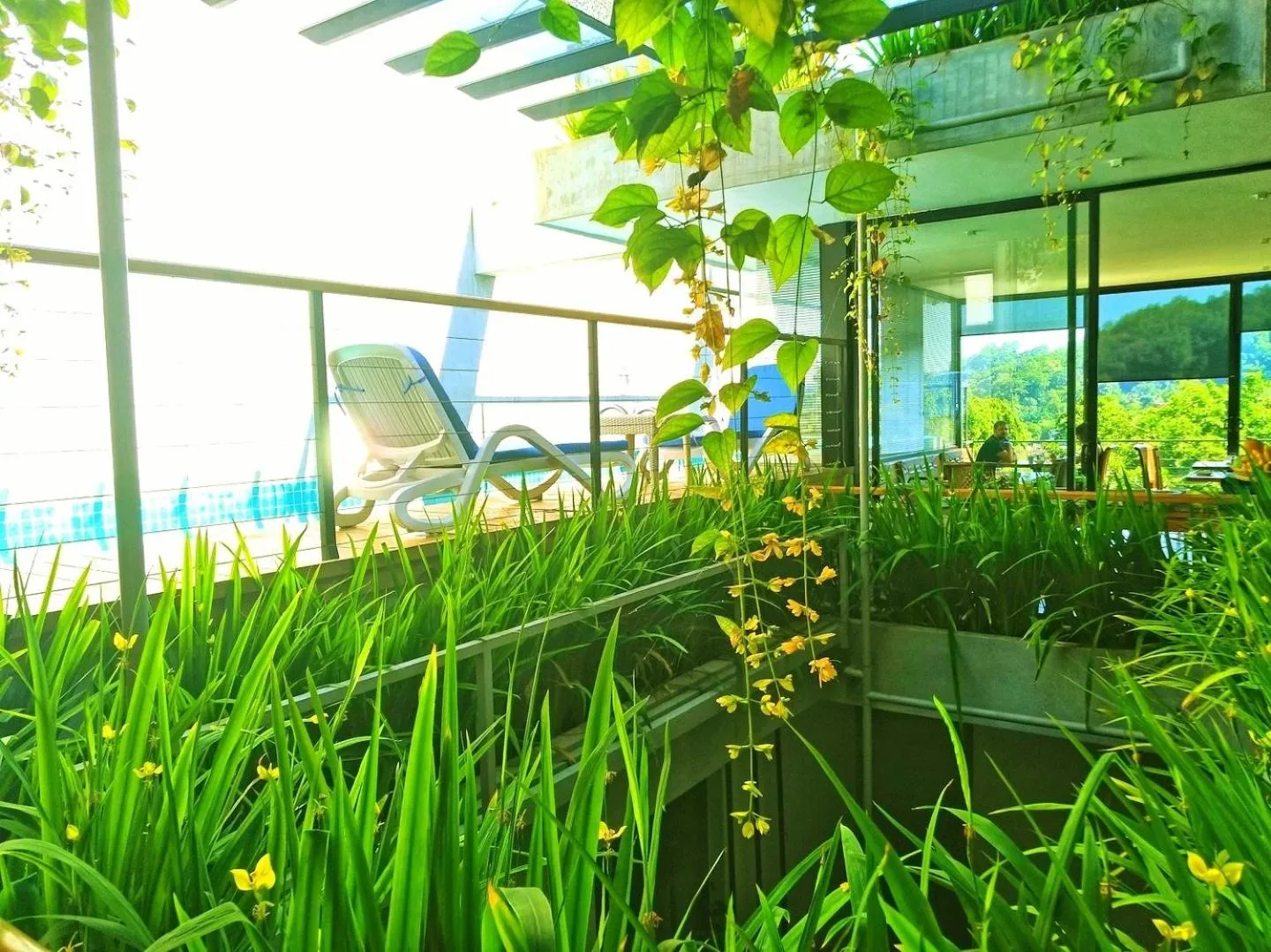 Garden in Lakewood Residence