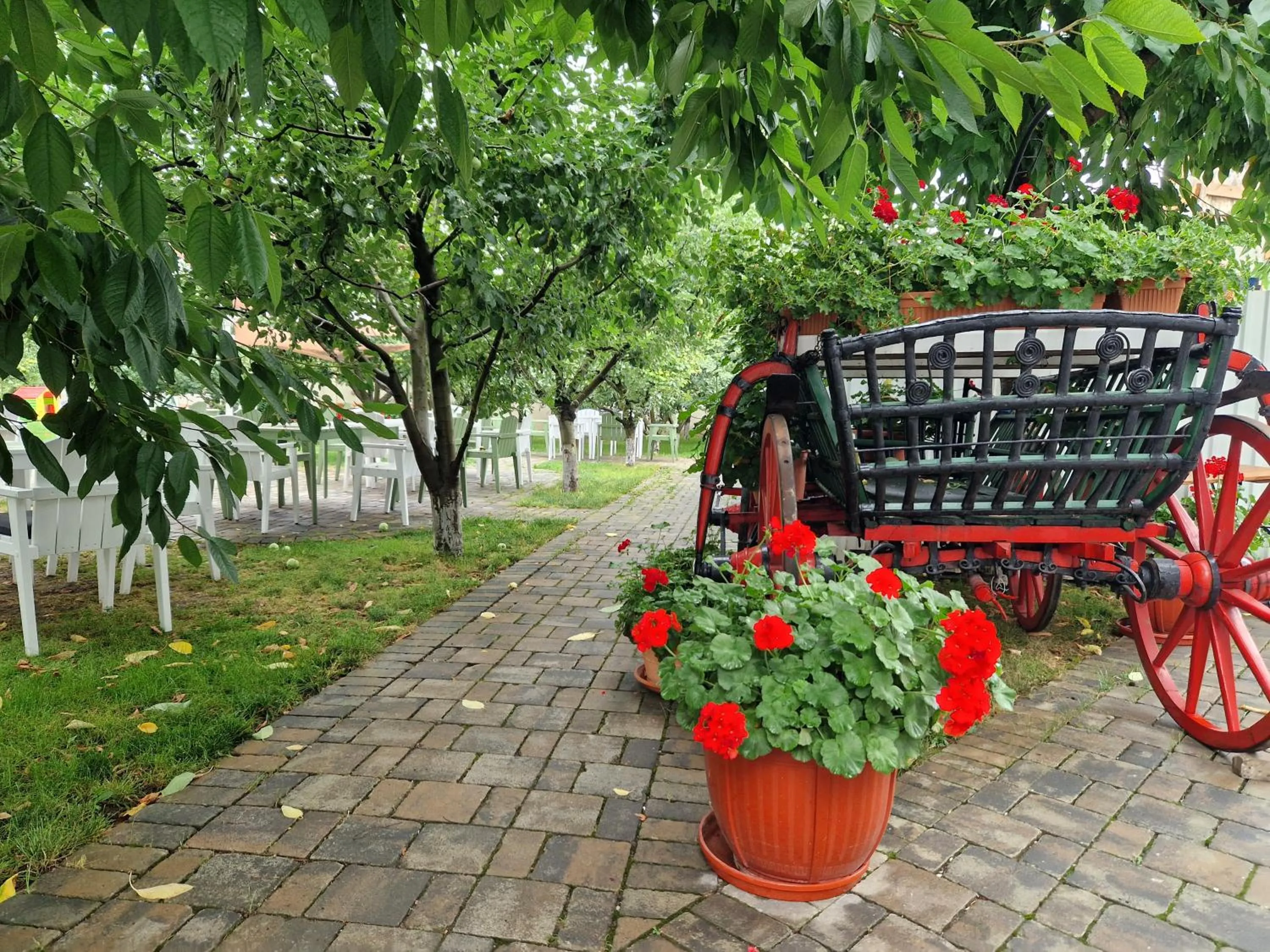 Natural landscape in Atlantic Boutique