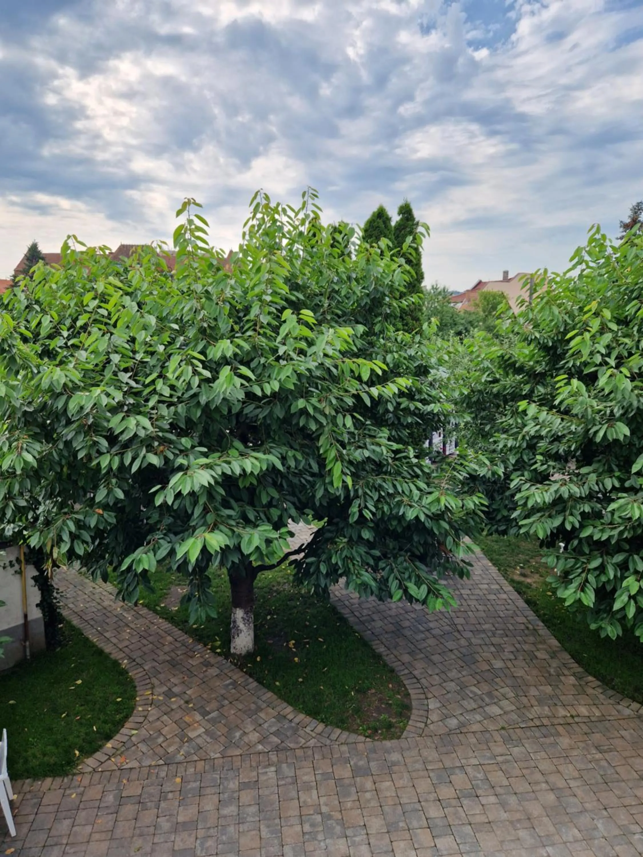 Natural landscape in Atlantic Boutique