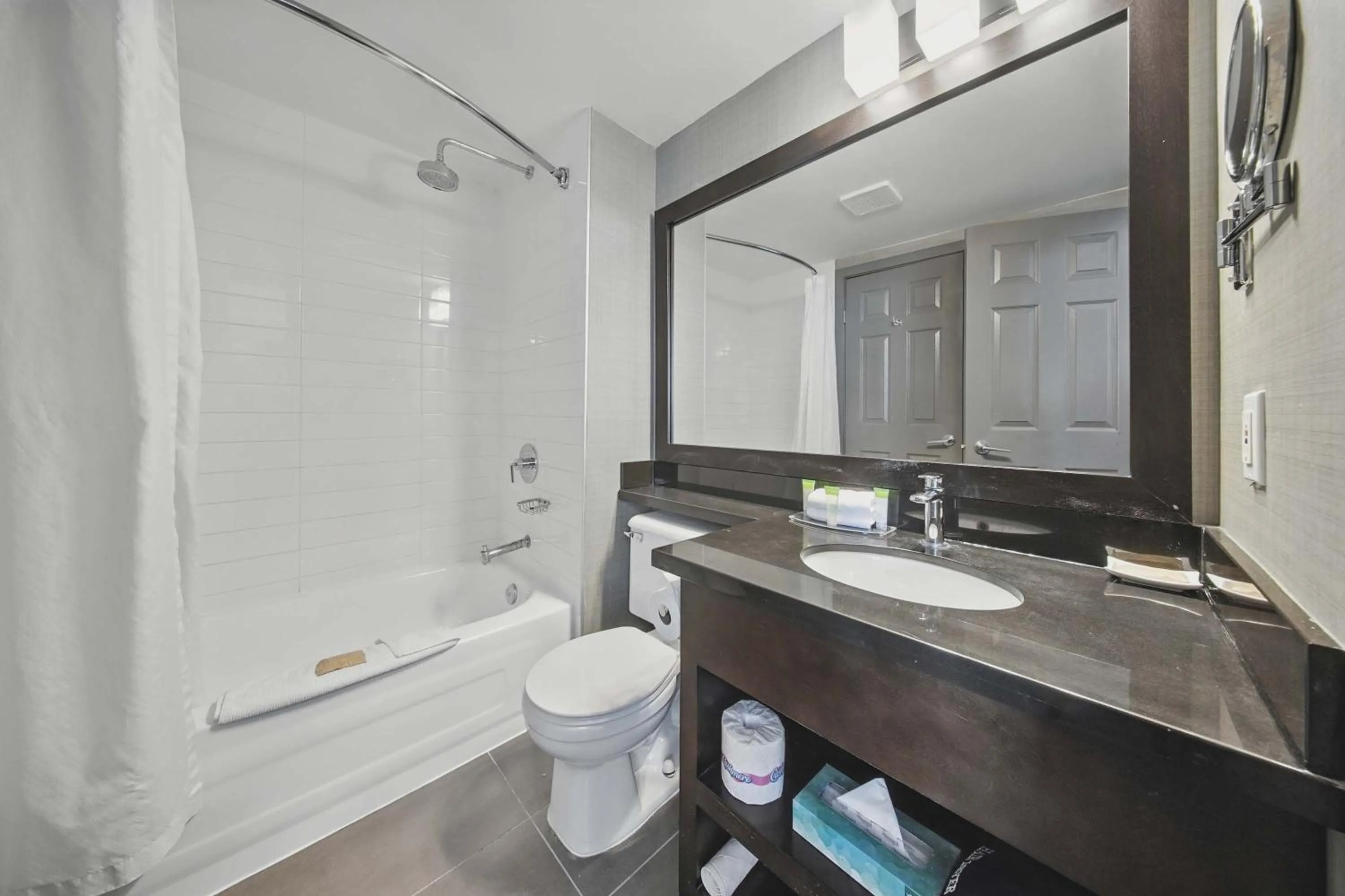 Bathroom in Sandman Hotel Red Deer