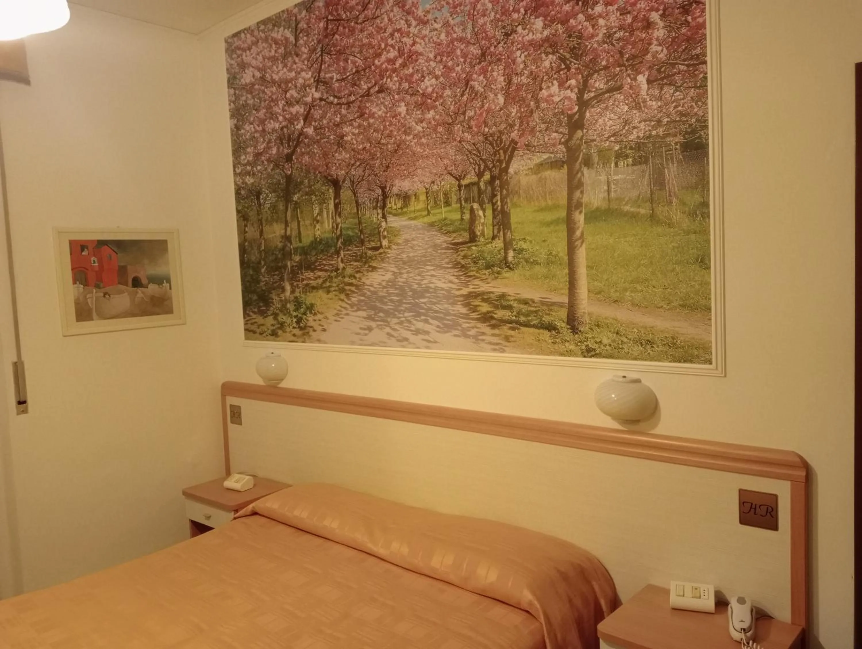 Hotel Rosa Meublé