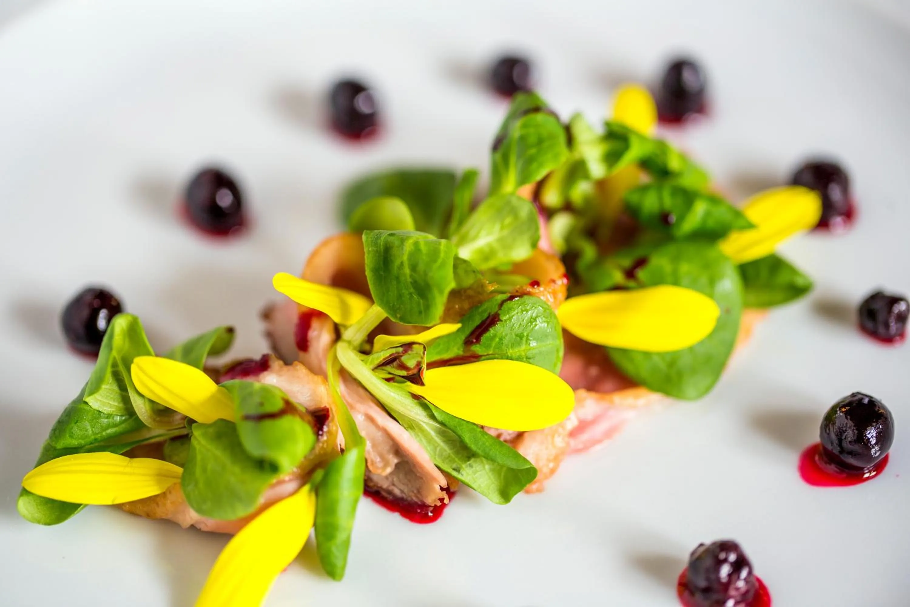 Dinner in Zamek w Krokowej