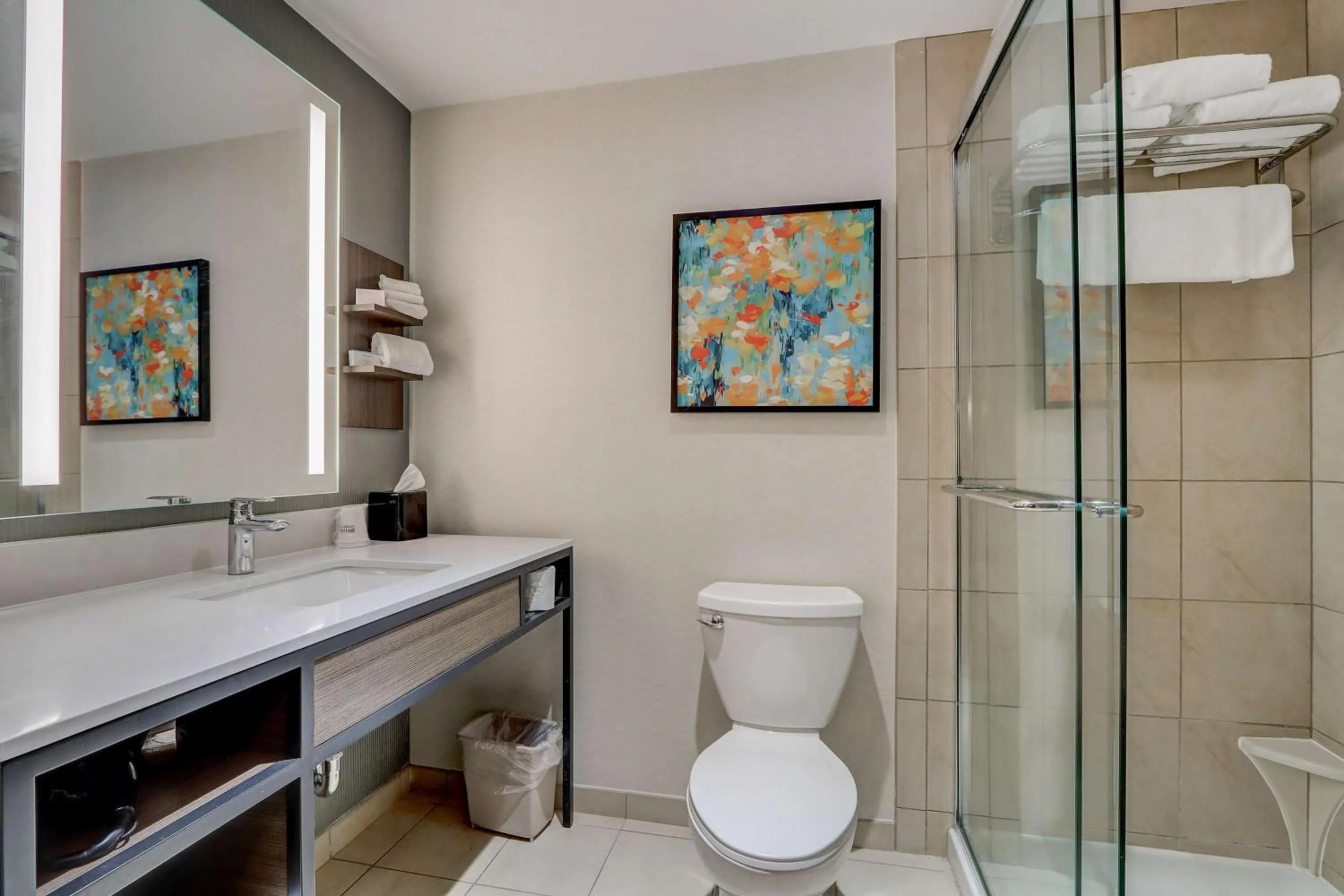 Bathroom in Hilton Garden Inn Indianapolis Northwest