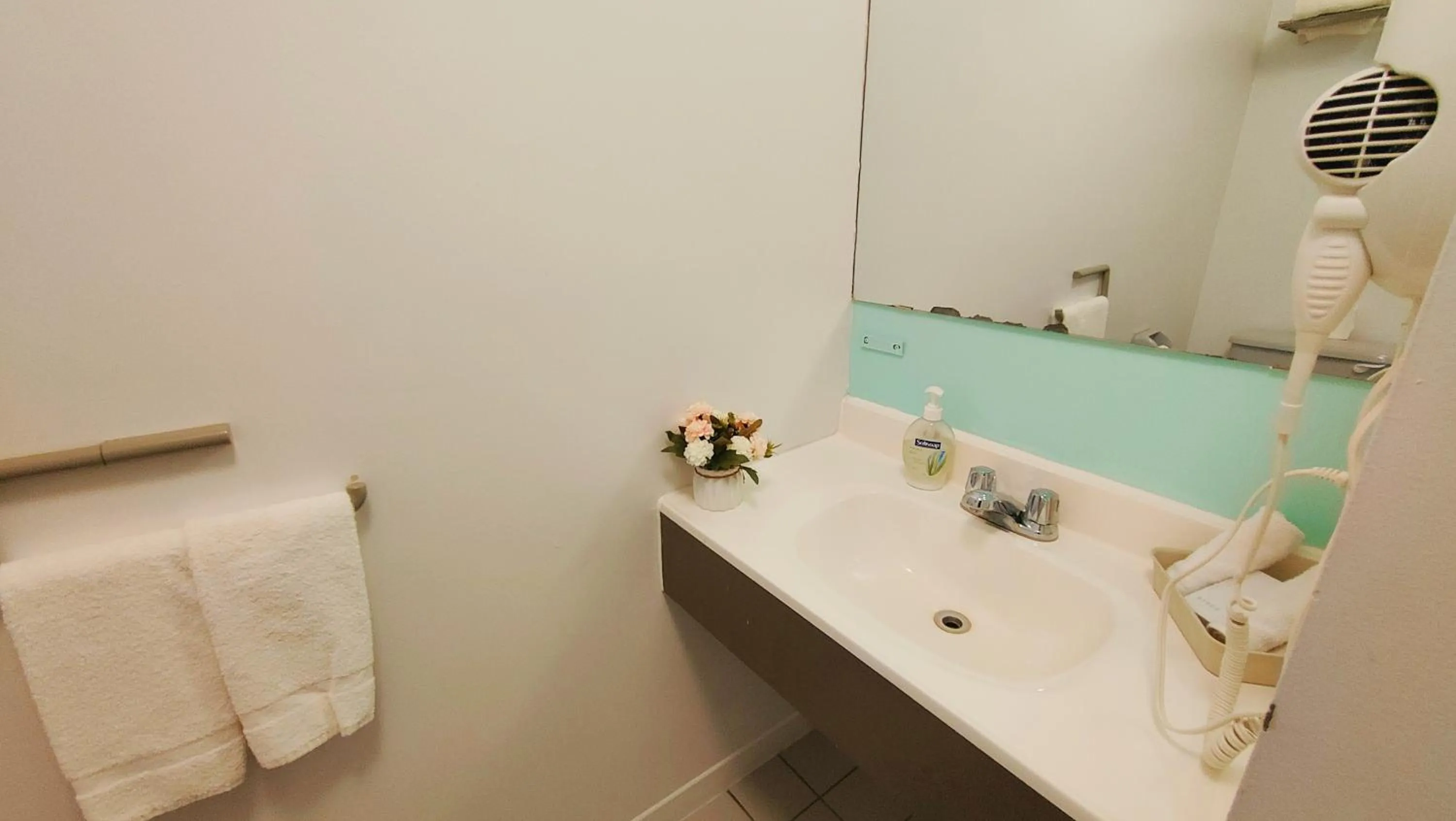 Motel Le Radisson de Val-David