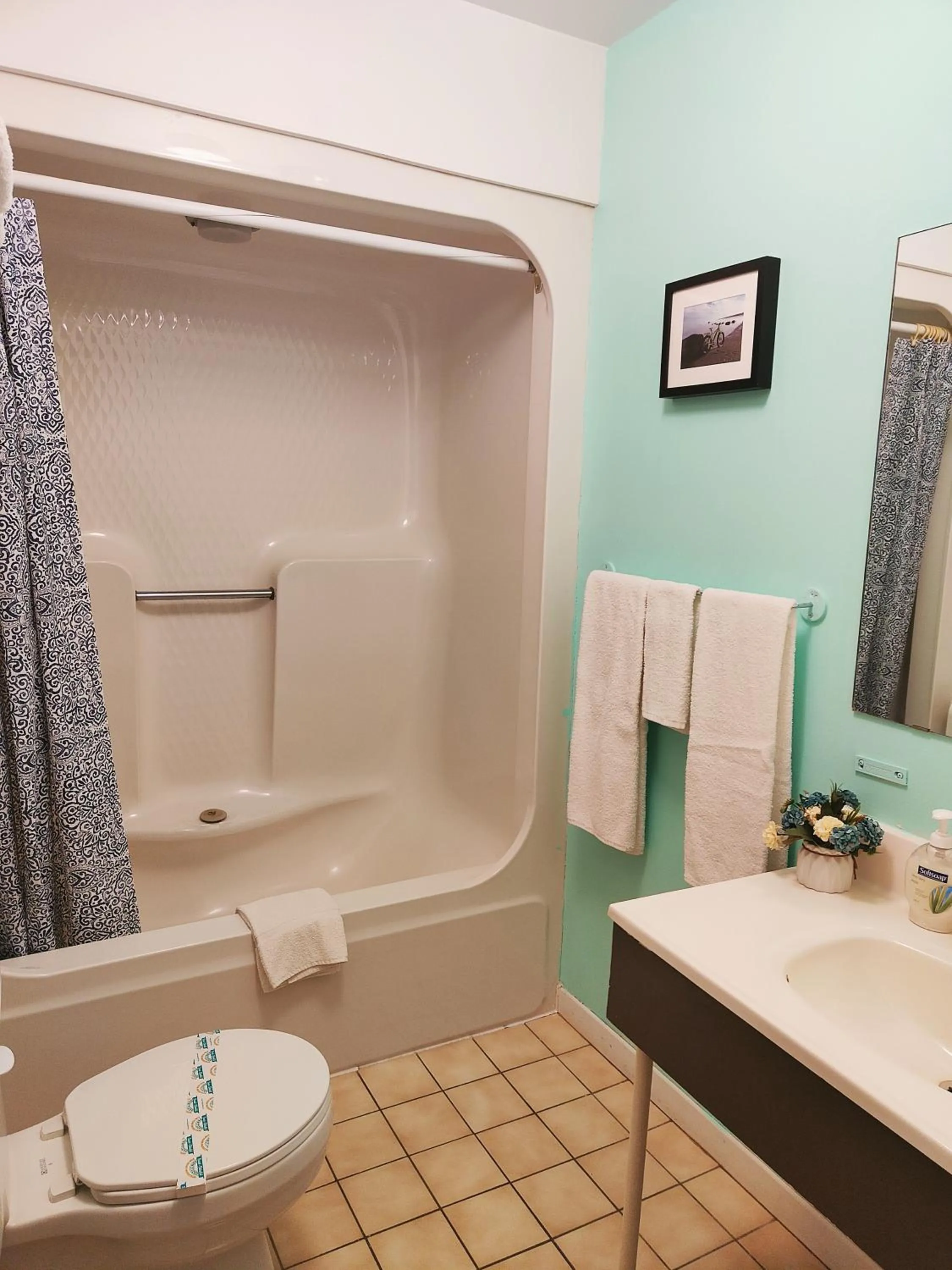 Motel Le Radisson de Val-David