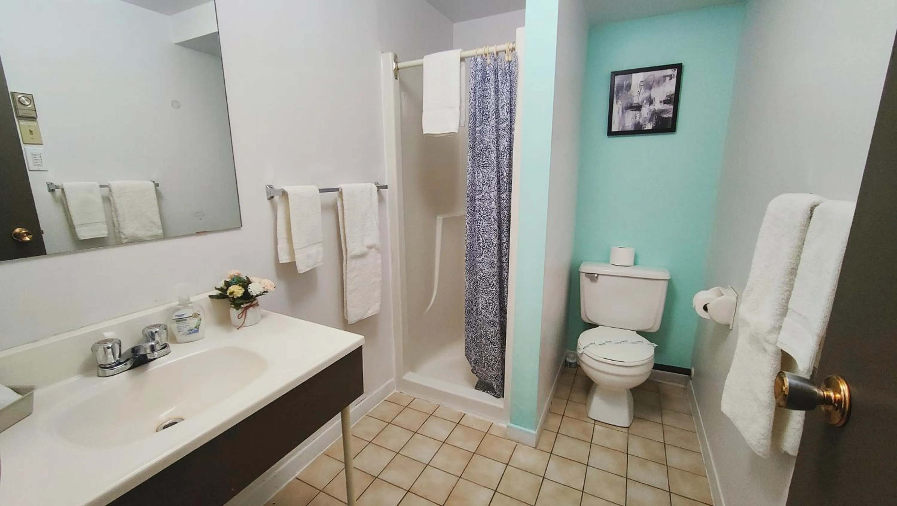 Motel Le Radisson de Val-David