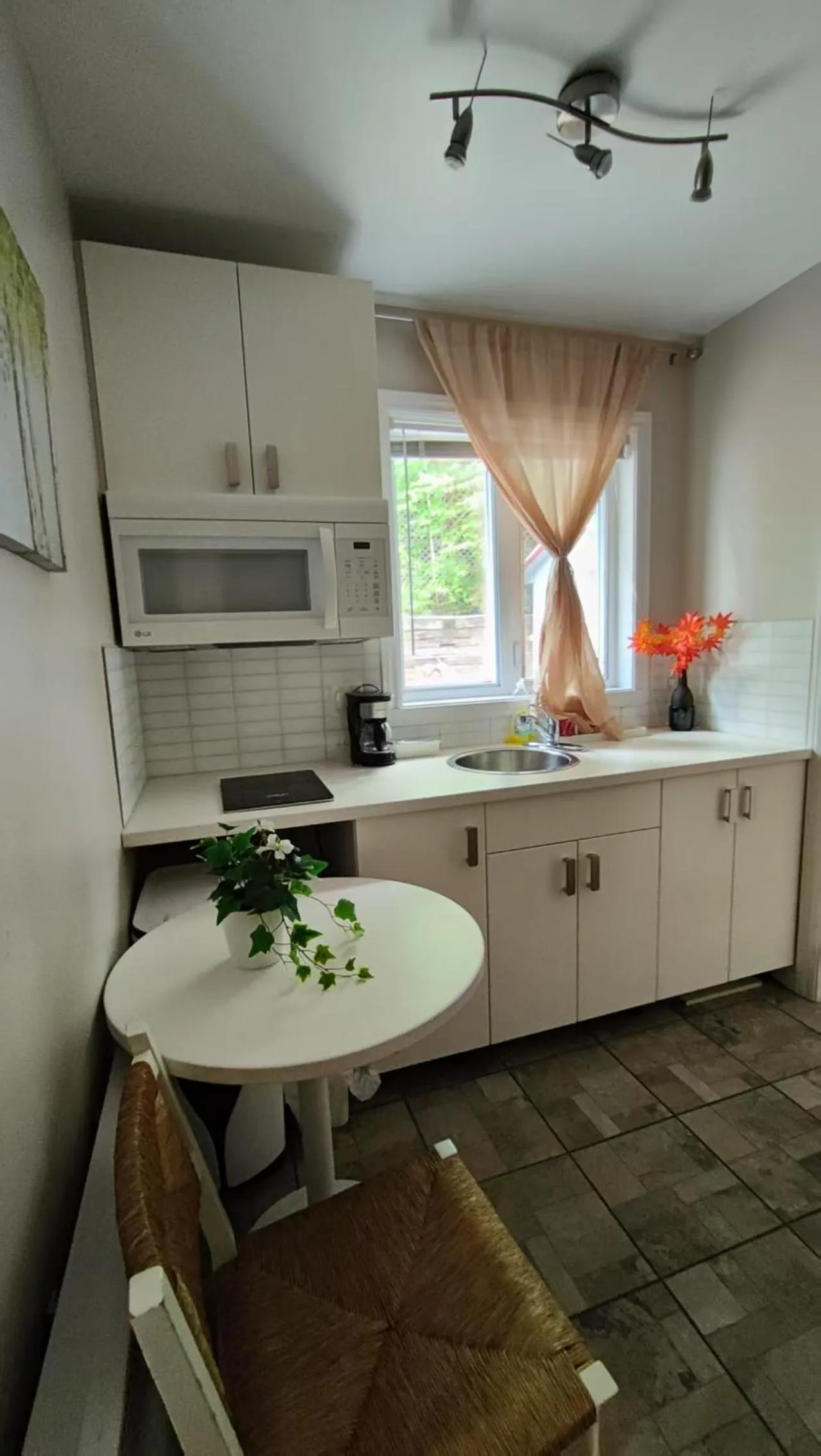 Motel Le Radisson de Val-David