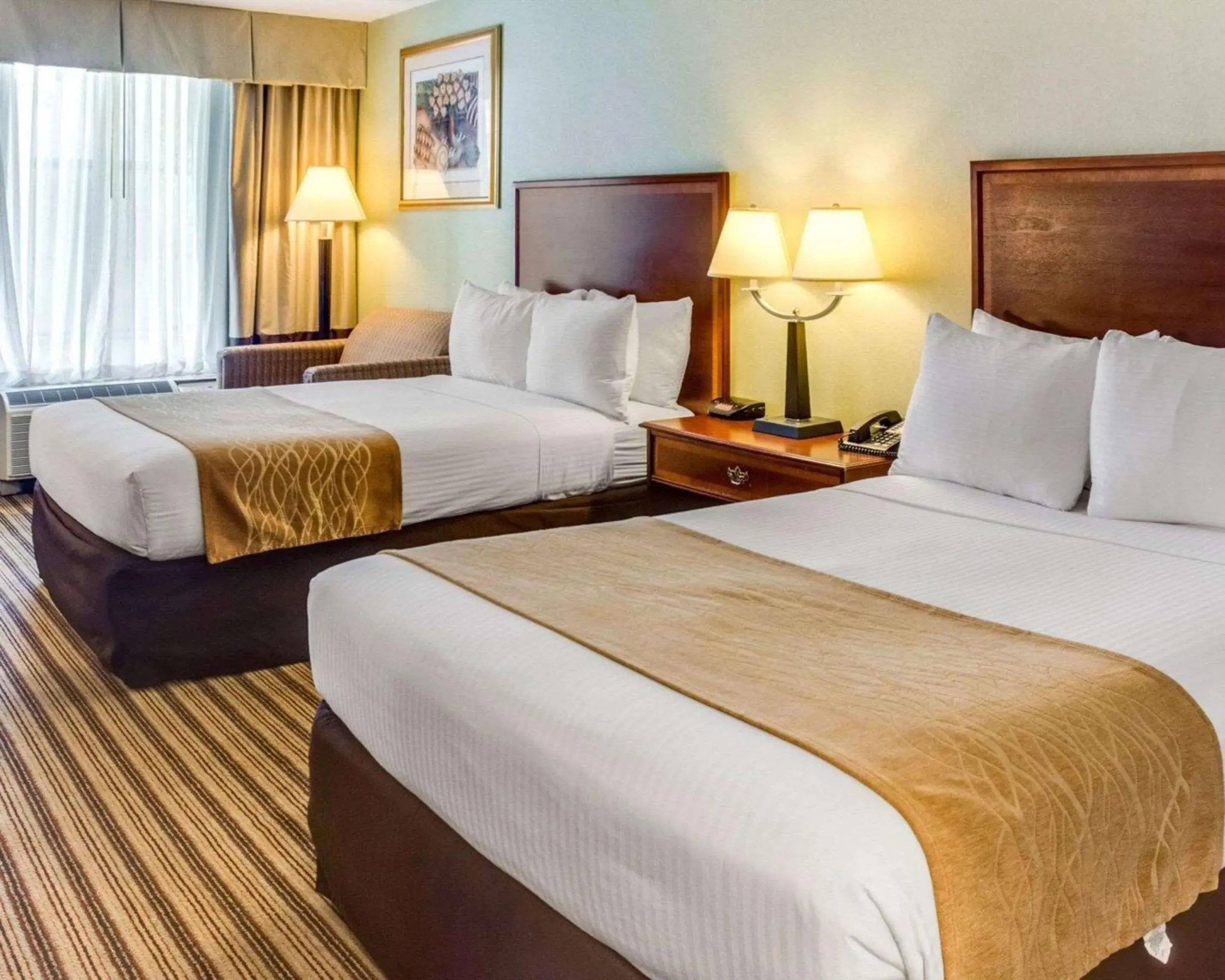 Photo of the whole room, Bed in Clarion Inn Fredericksburg North Photo of the whole room, Bed in Clarion Inn Fredericksburg North