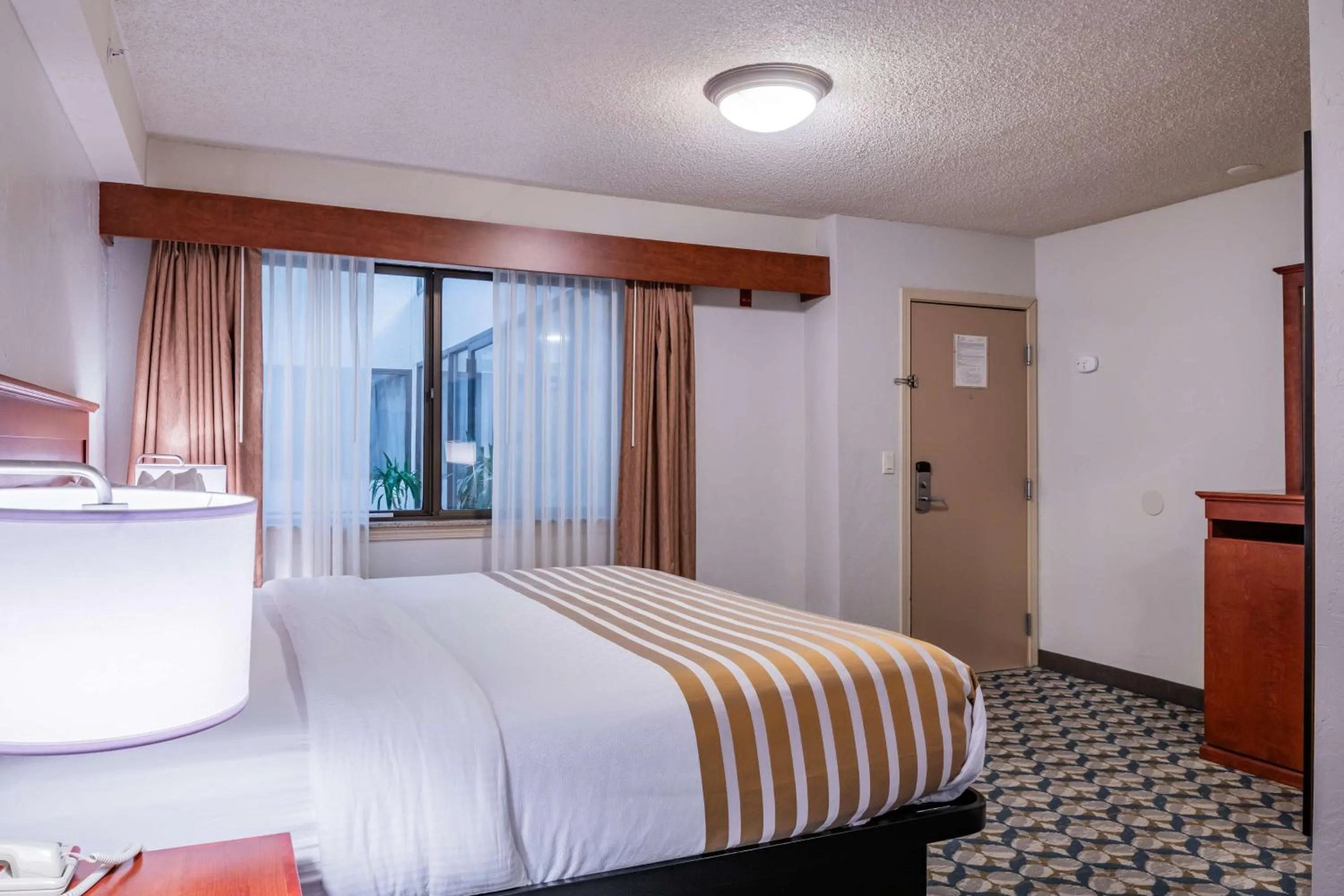 Bedroom, Bed in Best Western Vista Inn at the Airport