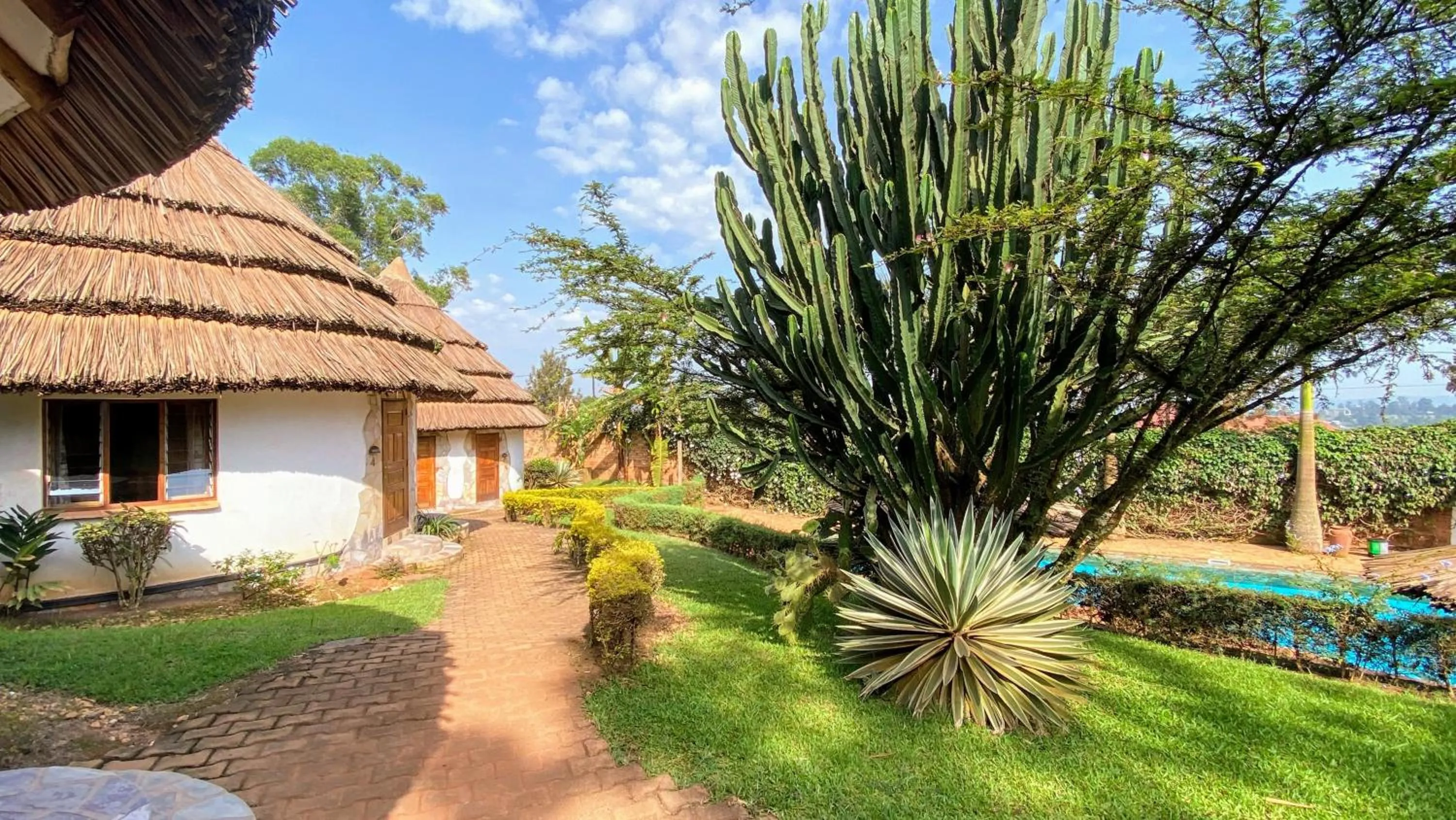 Garden in Banda Lodge