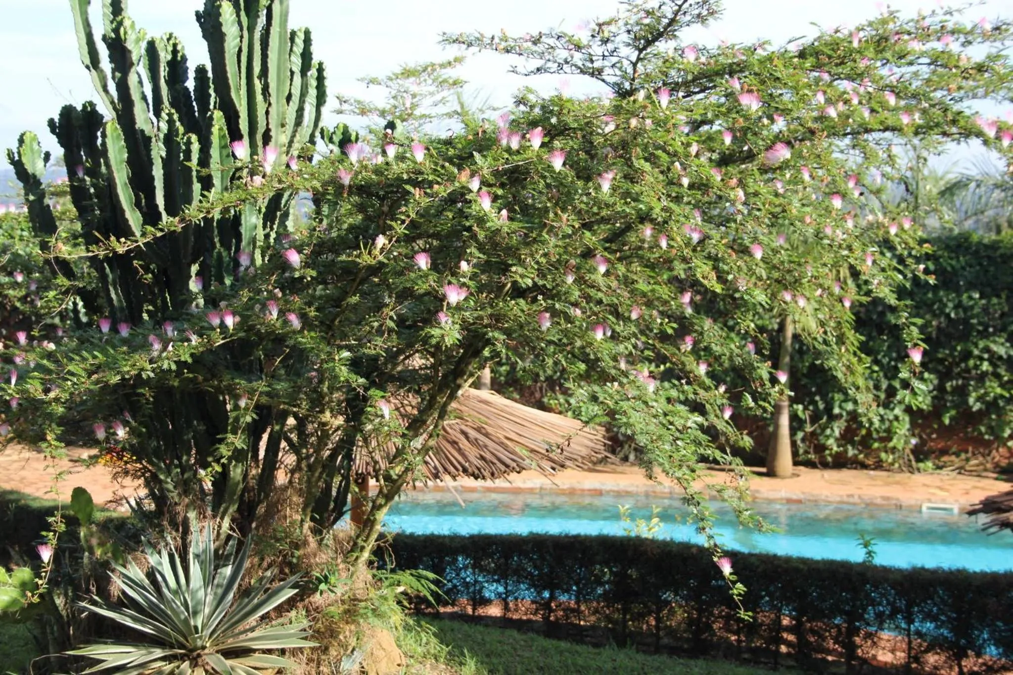 Restaurant/places to eat in Banda Lodge