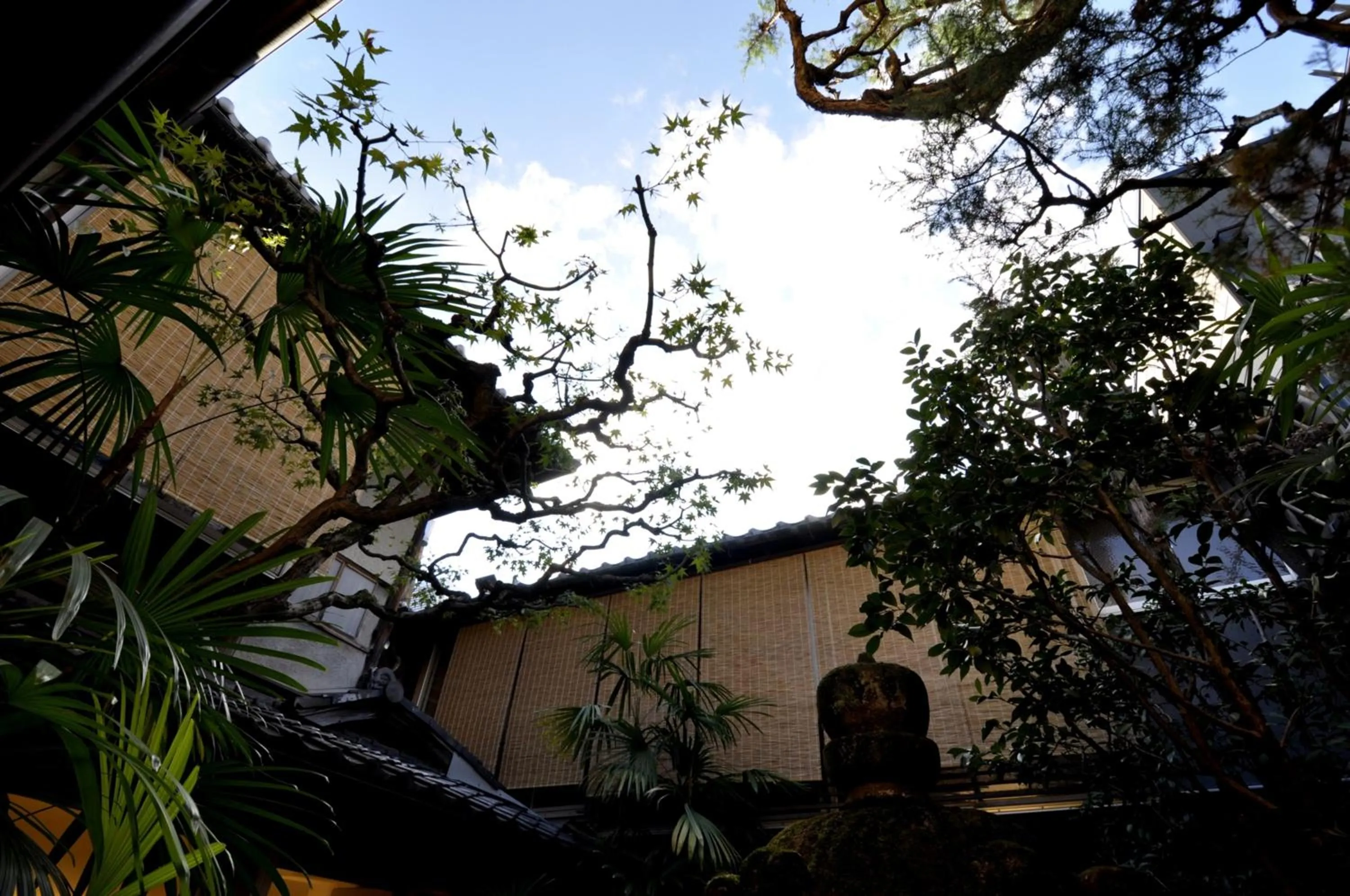 Garden in IZUYASU Traditional Kyoto Inn serving Kyoto cuisine
