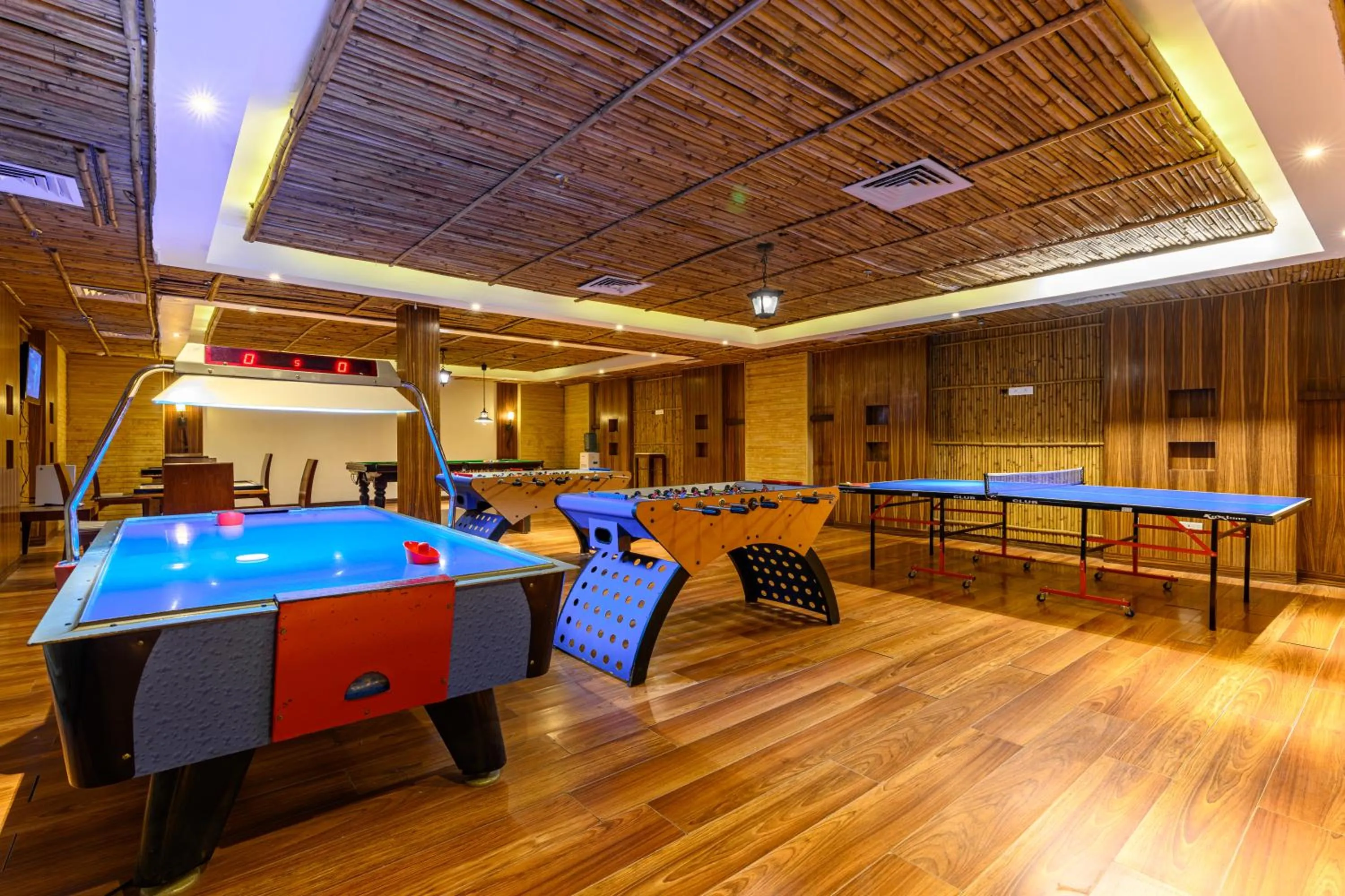 Game Room in Ananta Spa & Resort, Pushkar