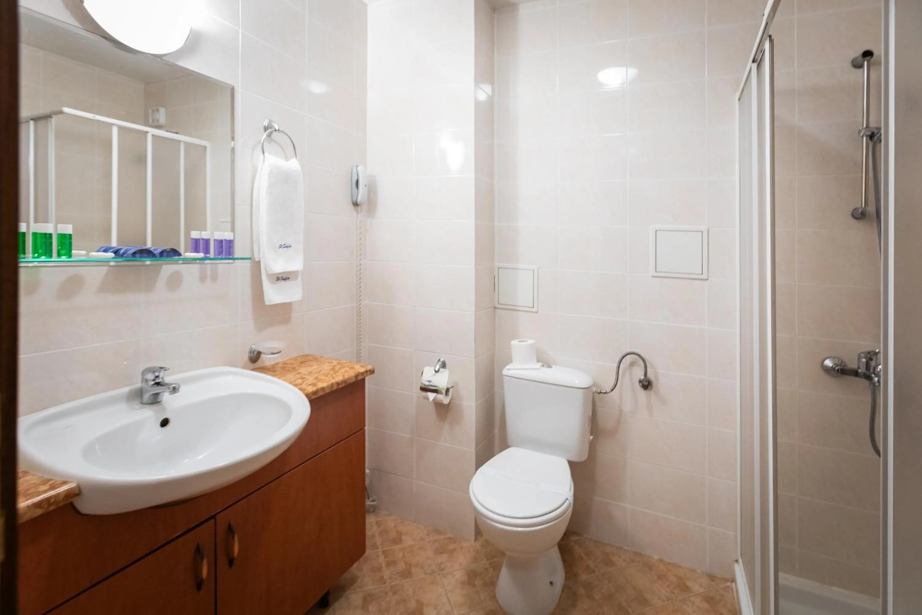 Shower in Sveta Sofia Hotel