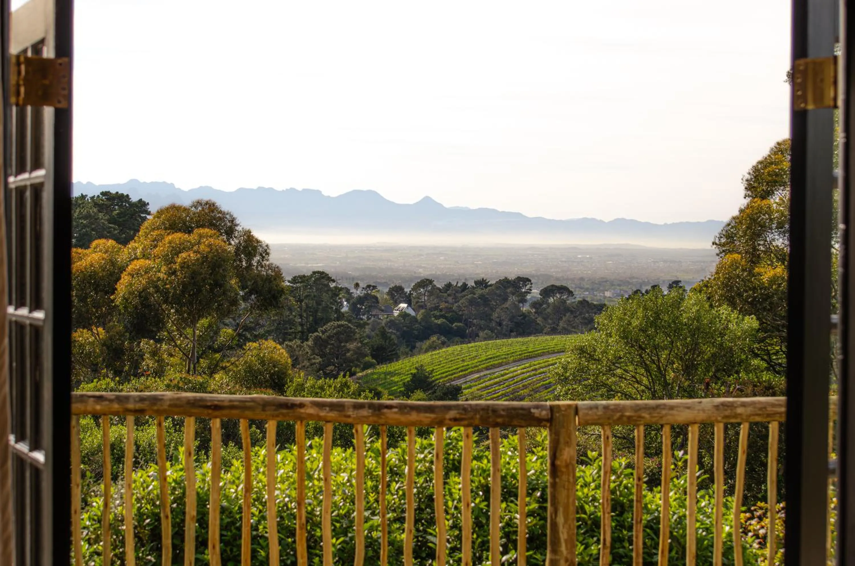 Natural landscape in Ikhaya Safari Lodge