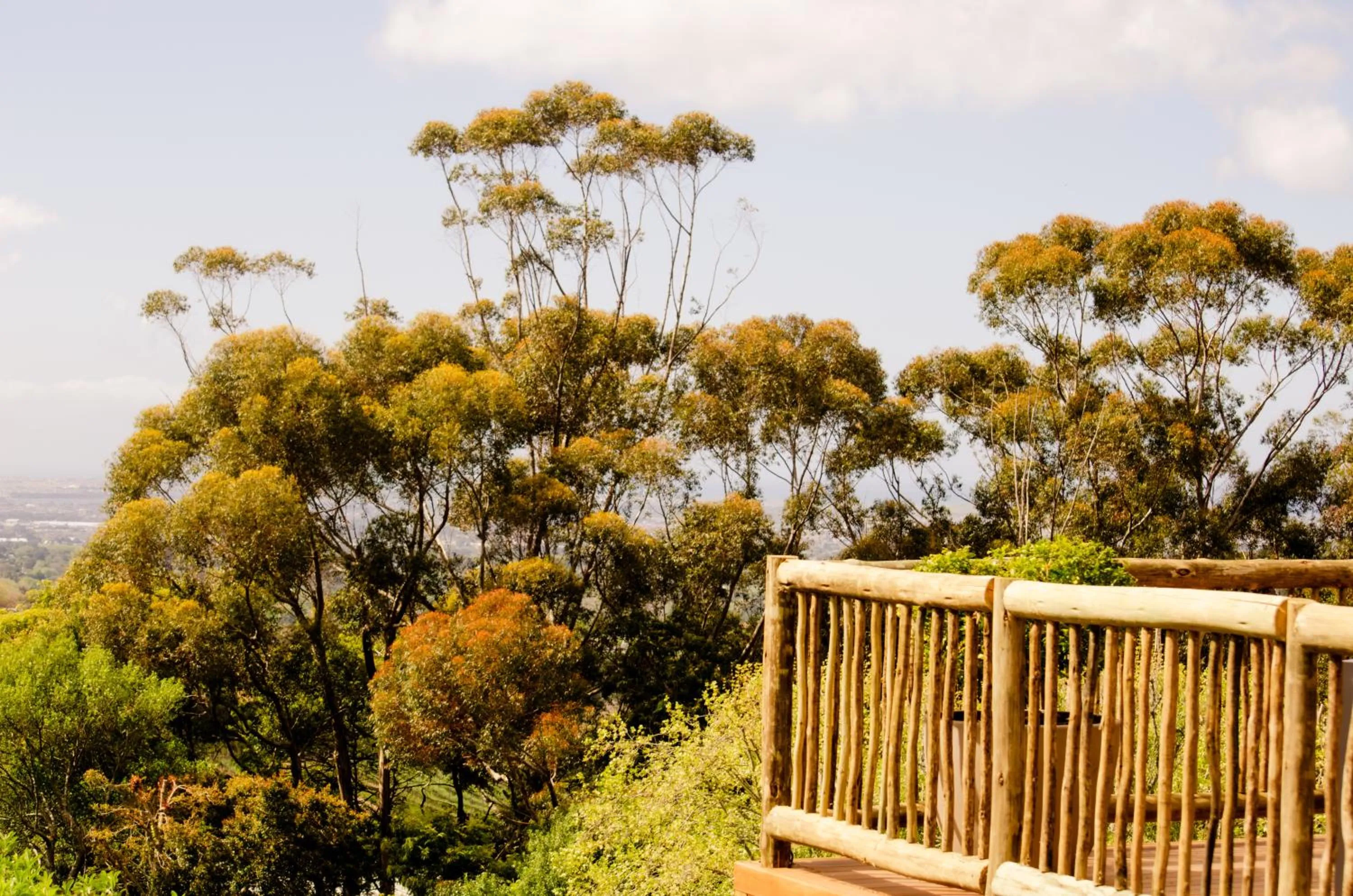 Day in Ikhaya Safari Lodge