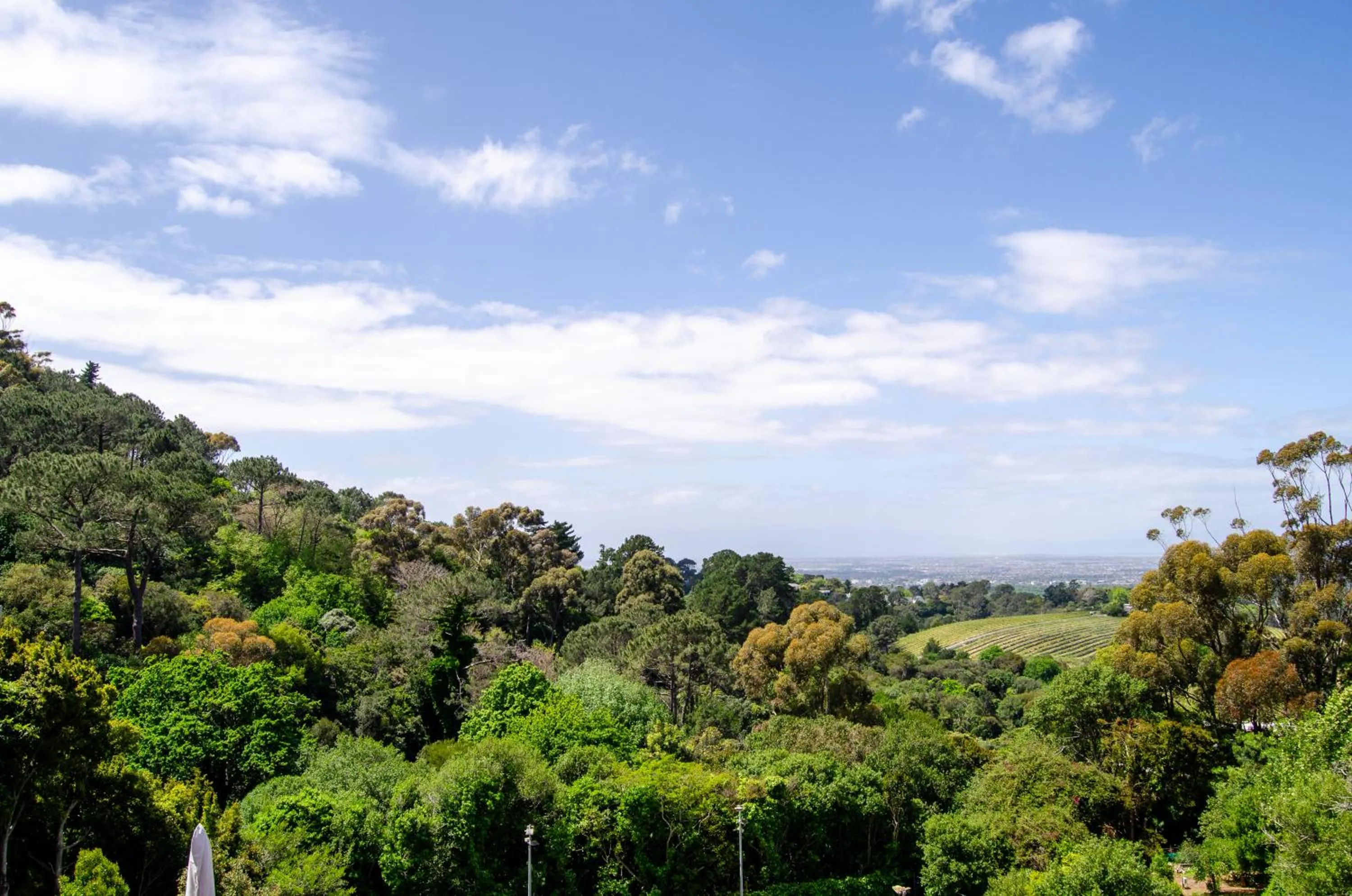 Nearby landmark in Ikhaya Safari Lodge