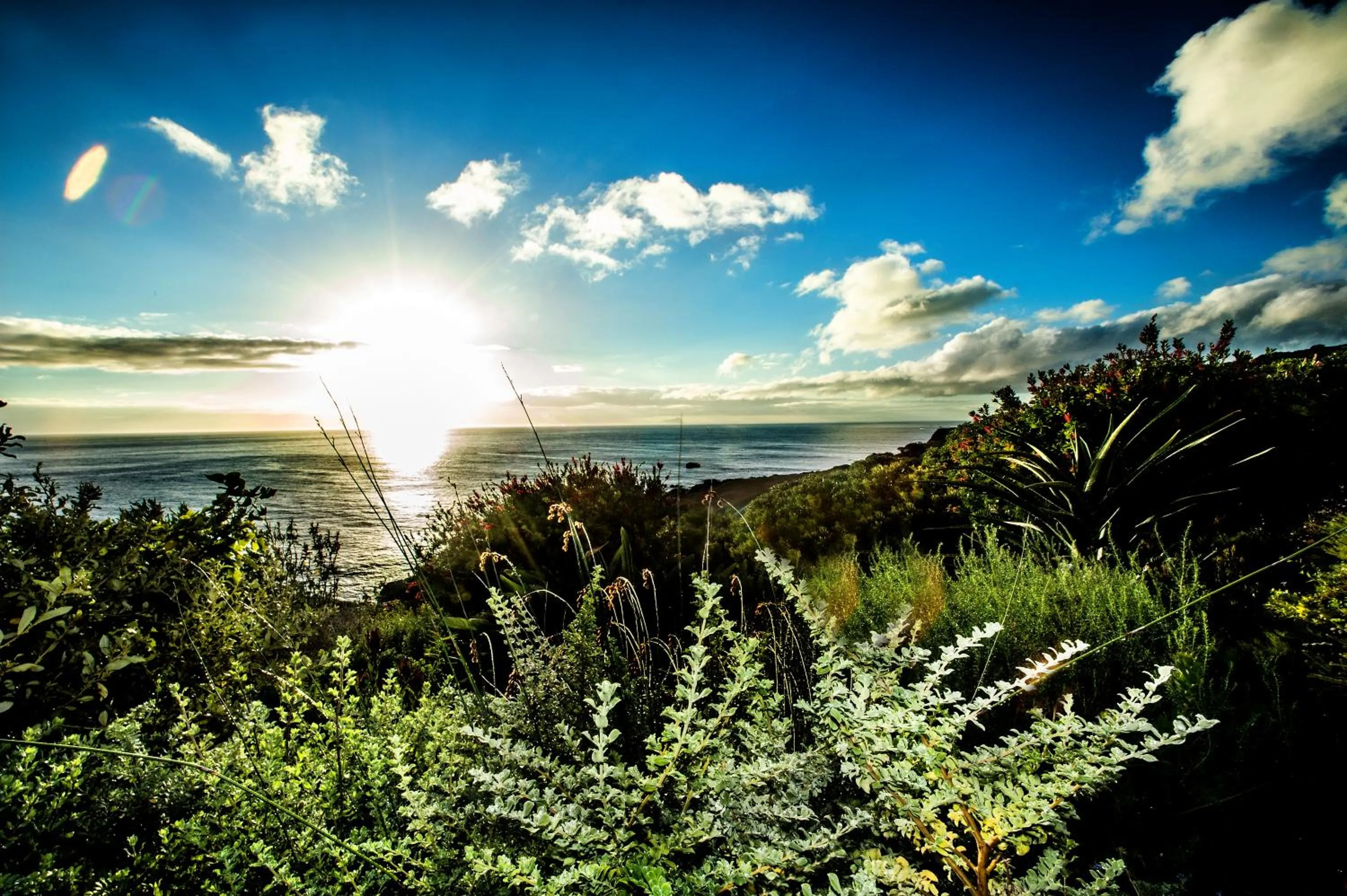 View (from property/room) in Rocklands Seaside Bed and Breakfast
