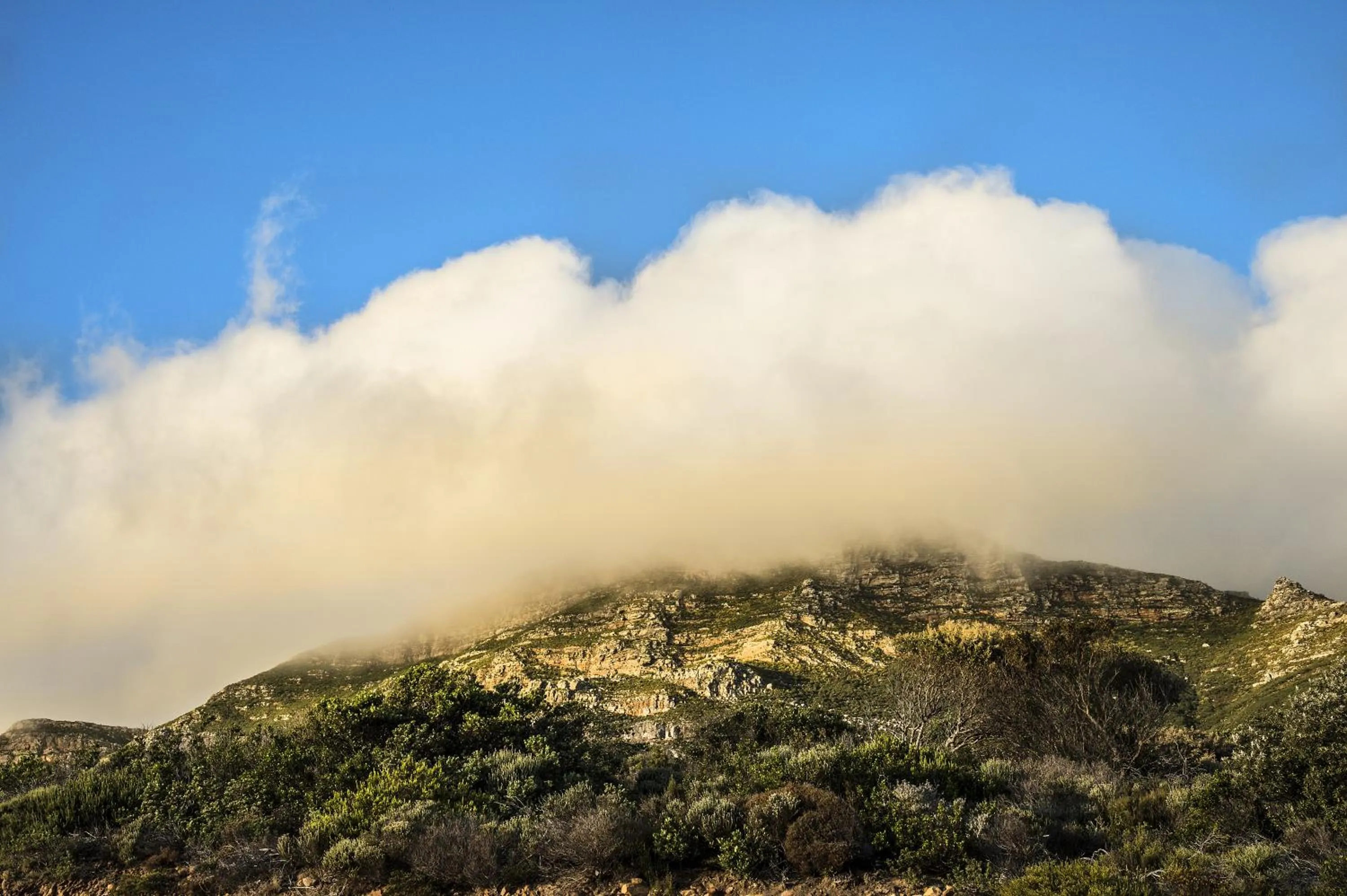 View (from property/room) in Rocklands Seaside Bed and Breakfast